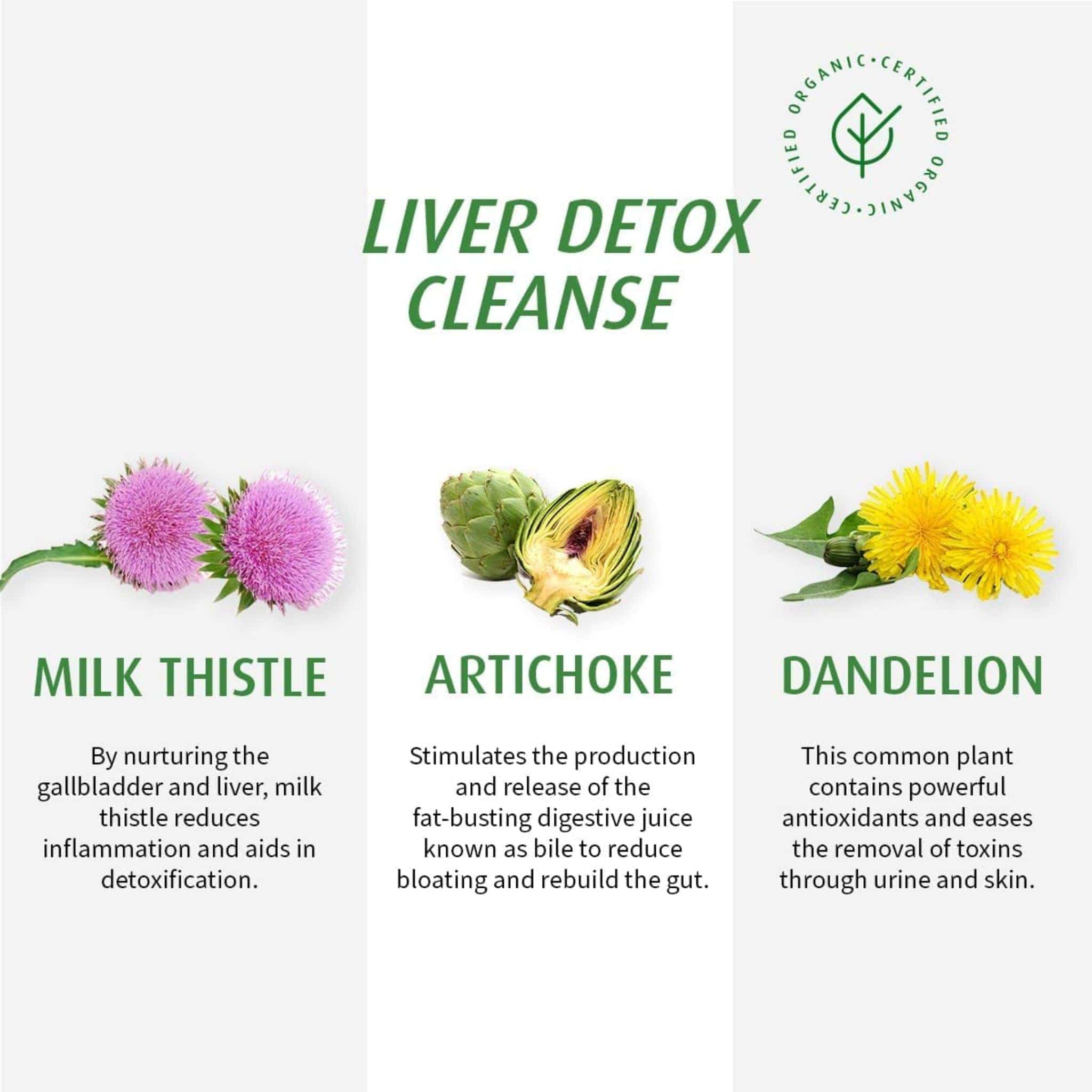 A. Vogel Boldocynara, Digestion Support and Liver Cleanse, 50ml - Image 7