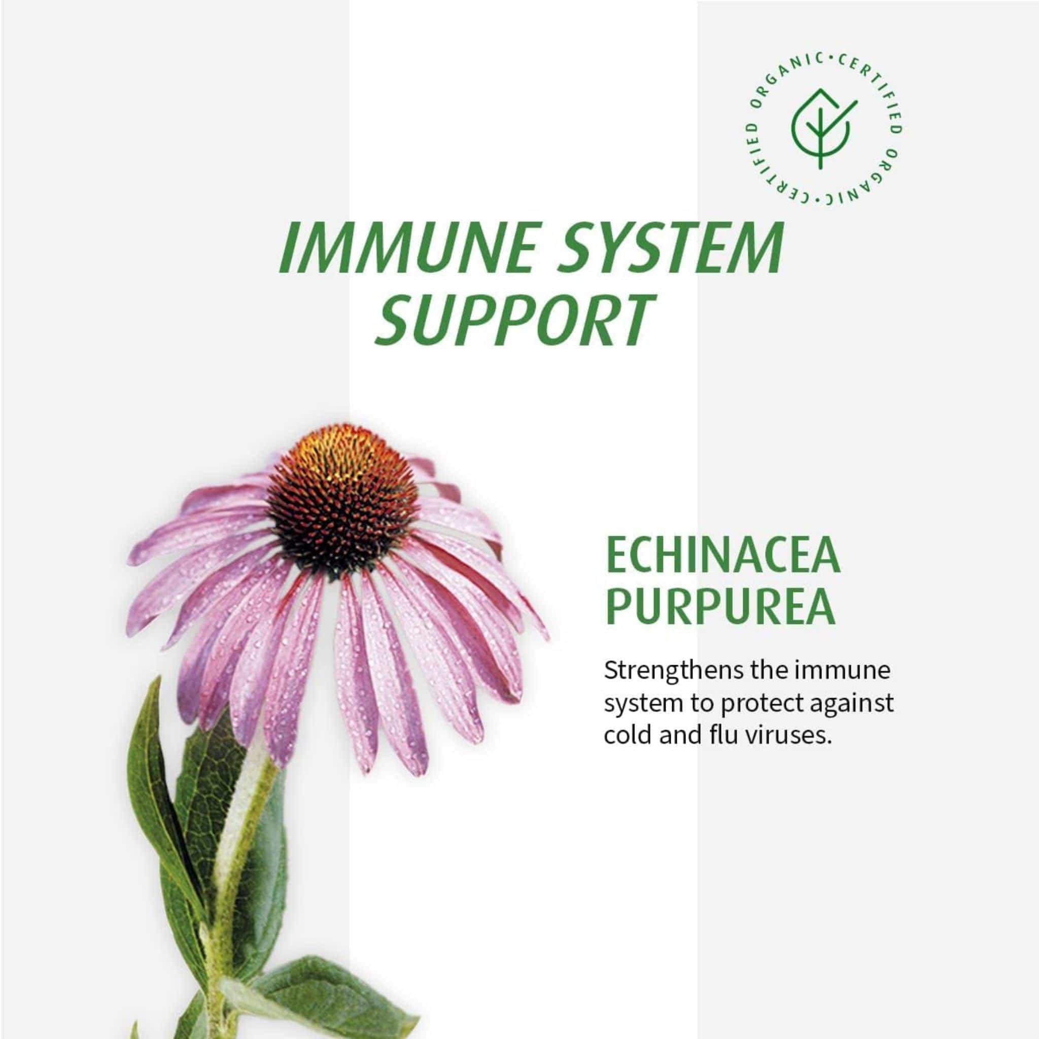 A. Vogel Echinaforce Junior Echinacea, Cold and Flu Prevention and Treatment for Kids, Chewable/Dissolving Tablets - Image 14