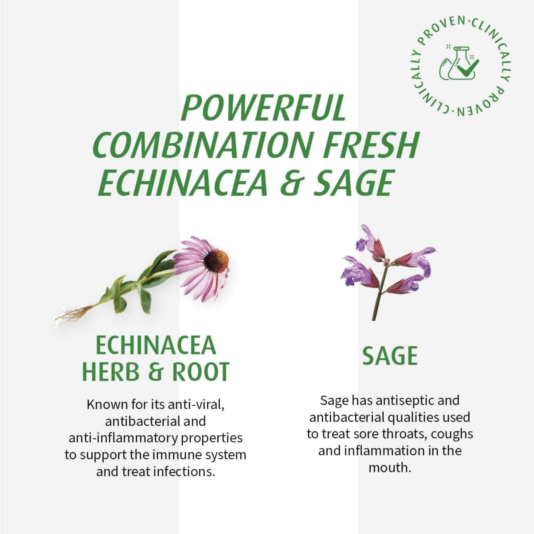A. Vogel Echinaforce Sore Throat Spray, 30ml - Image 8