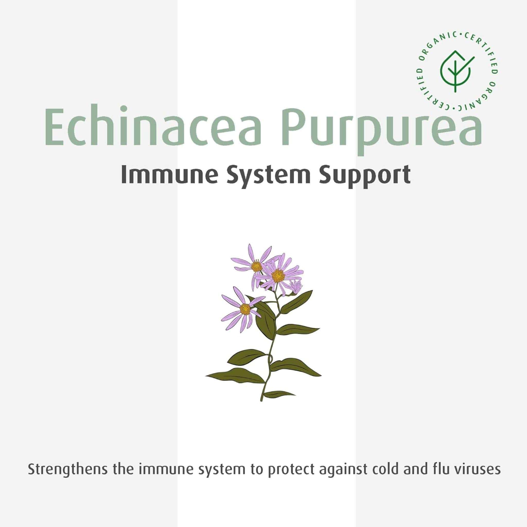 A. Vogel Echinaforce Tincture - Image 5