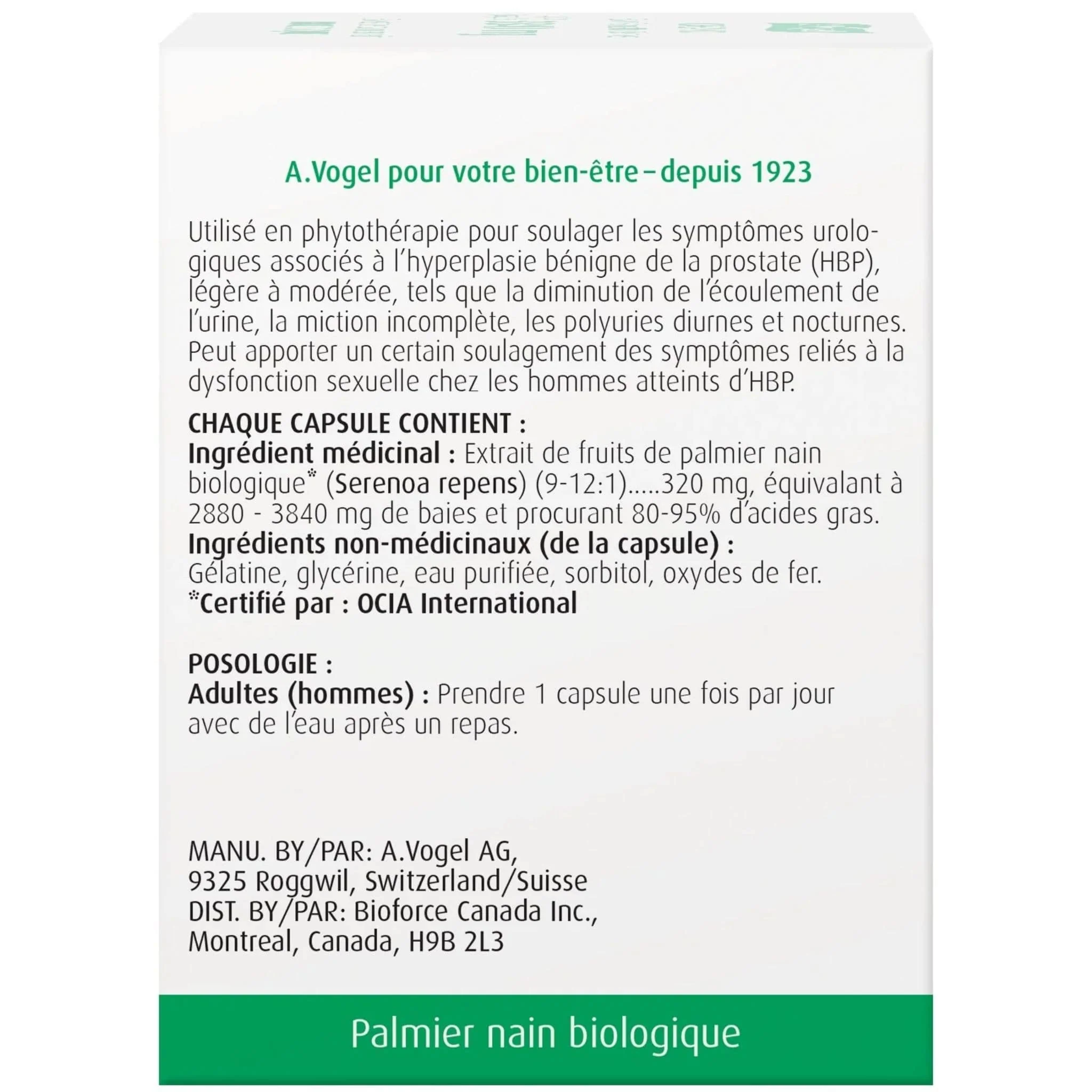 A. Vogel Prostate 1 - Image 10