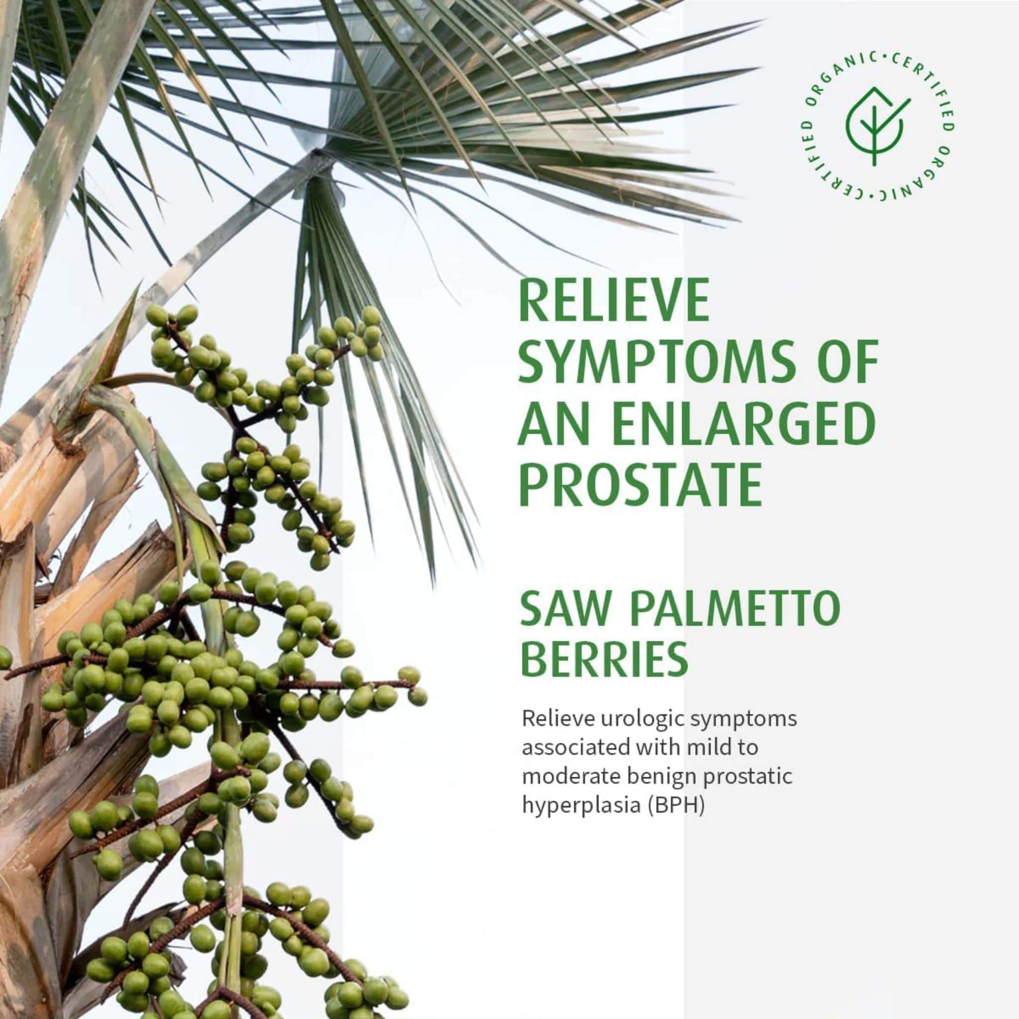 A. Vogel Prostate 1 - Image 5