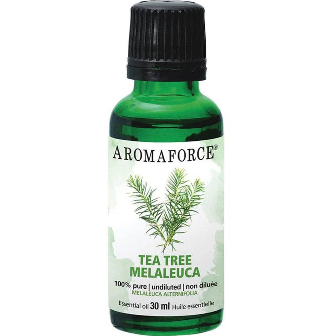 Aromaforce Tea Tree Essential Oil - Image 3