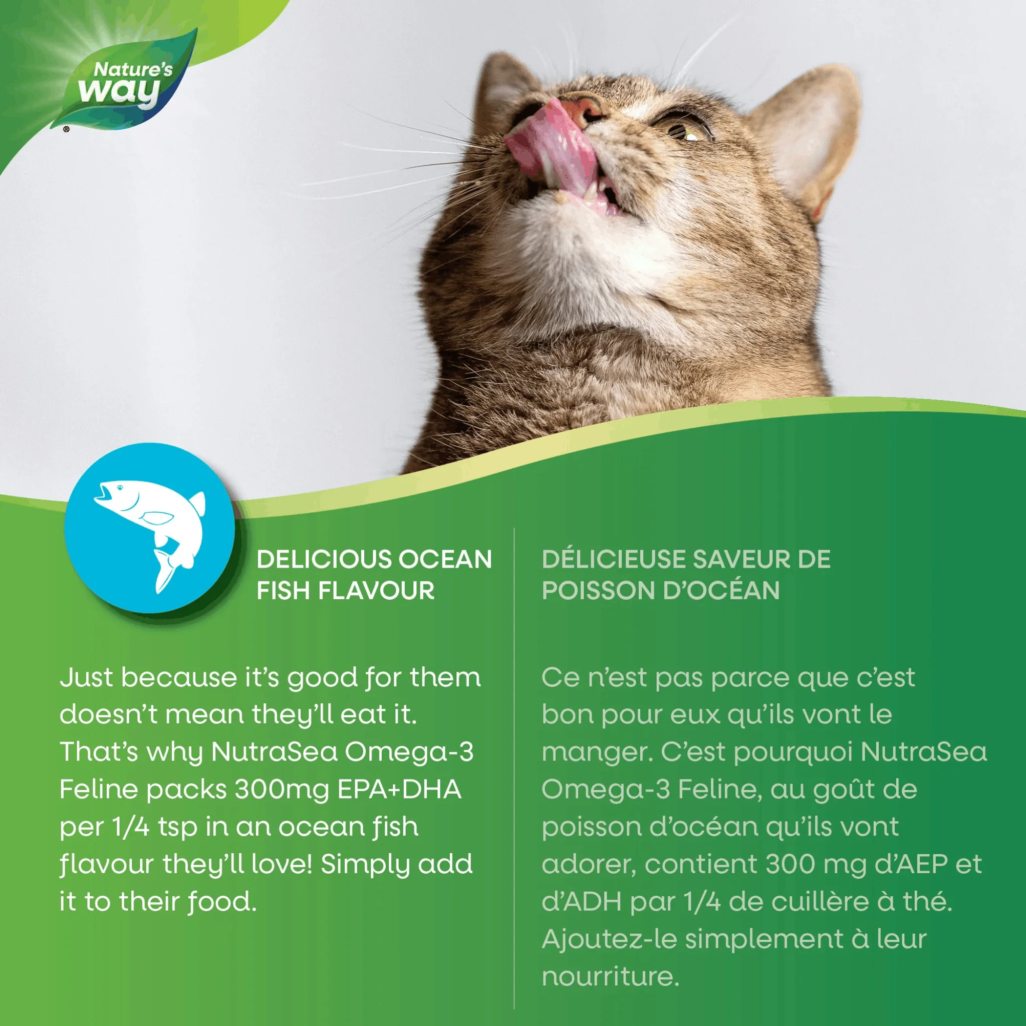 NutraSea Feline Omega-3 Liquid Fish Oil for Cats (Formerly Baie Run Feline), Supports Healthy Skin and Coat, 140ml - Image 3