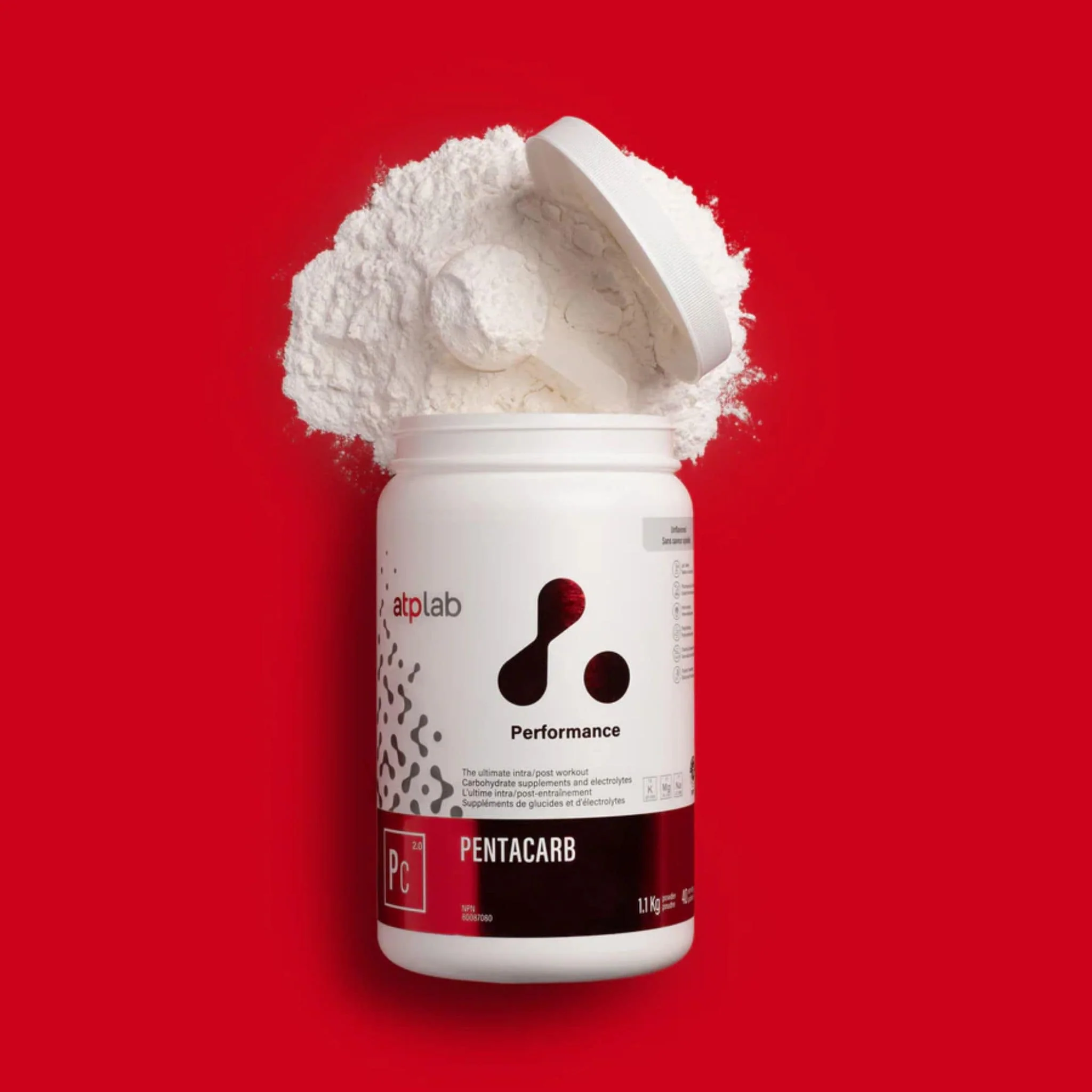 ATP Lab Pentacarb Powder, Supports High-Intensity Exercise Performance, 1.1 kg - Image 2