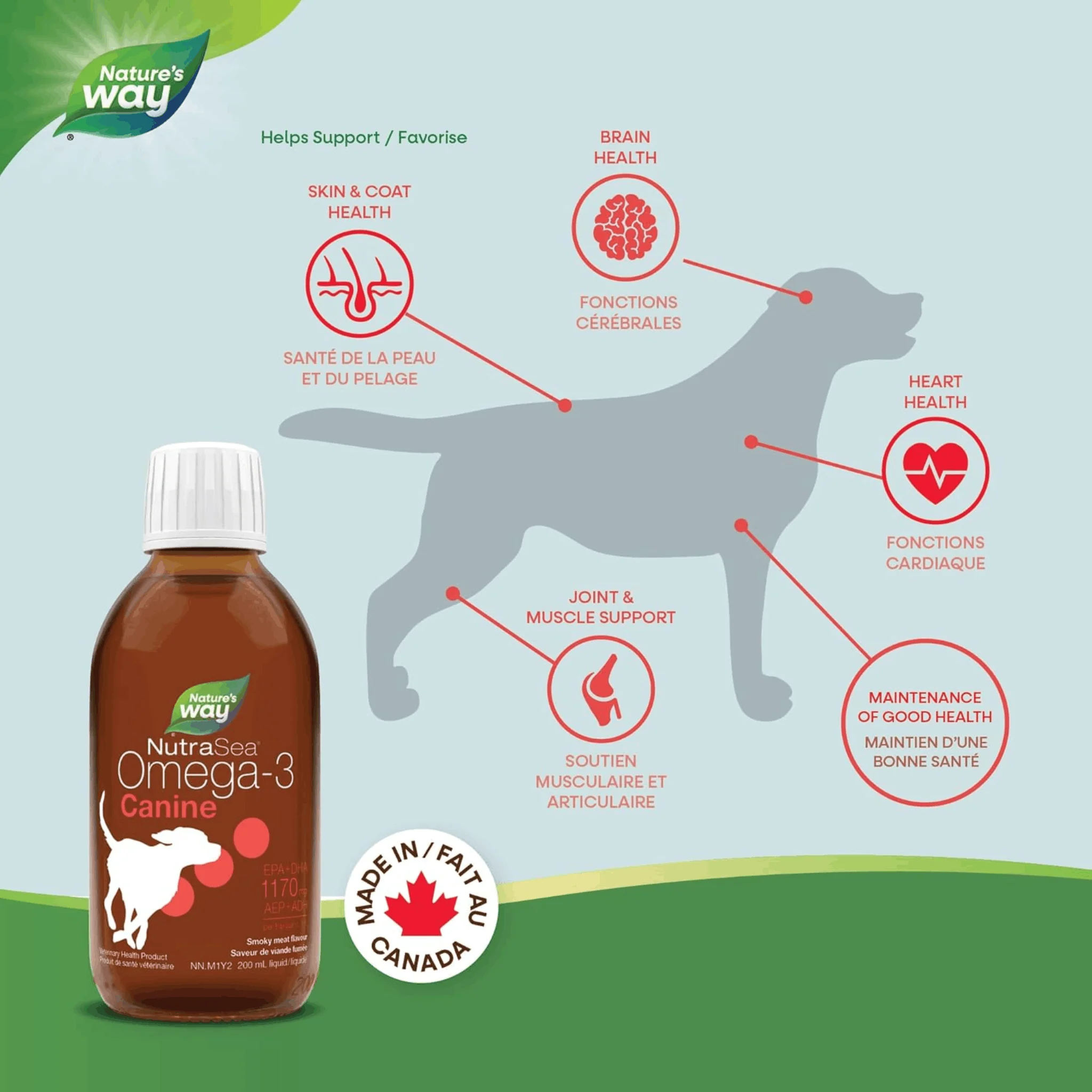 NutraSea Omega-3 Canine Liquid Fish Oil for Dogs (Formerly Baie Run), 1170mg EPA & DHA, Skin, Coat, Joint & Heart Support, 200-500ml - Image 2
