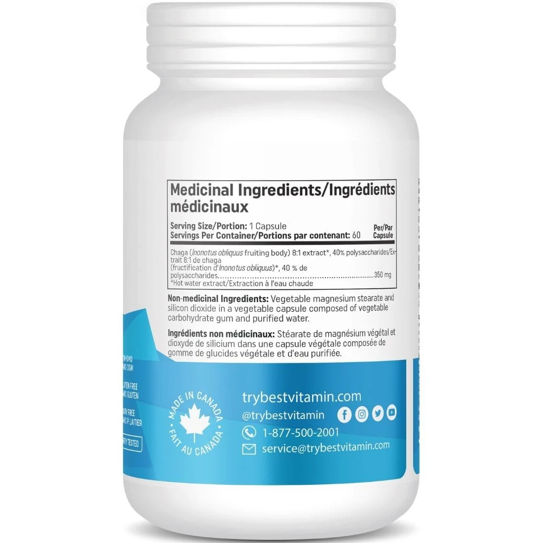 BestVitamin Best Chaga Mushroom 350mg, Anti-microbial immune support, Non-GMO, 60 Vegetable Capsules, Clearance 50% Off, Final Sale - Image 3