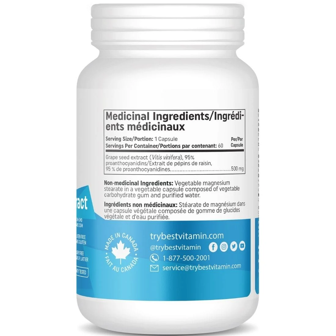 BestVitamin Best Grape Seed Extract 500mg, Extra Strength, 60 Vegetable Capsules, Clearance 50% Off, Final Sale - Image 3