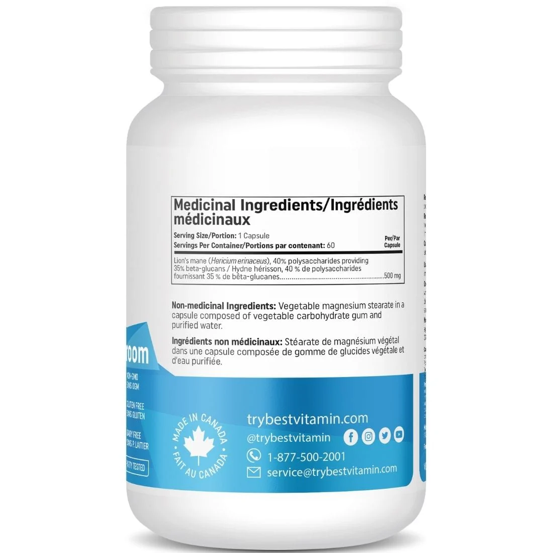 BestVitamin Best Lion's Mane Mushroom 500mg, Immune & Cognitive Support, 60 Vegetable Capsules - Image 2