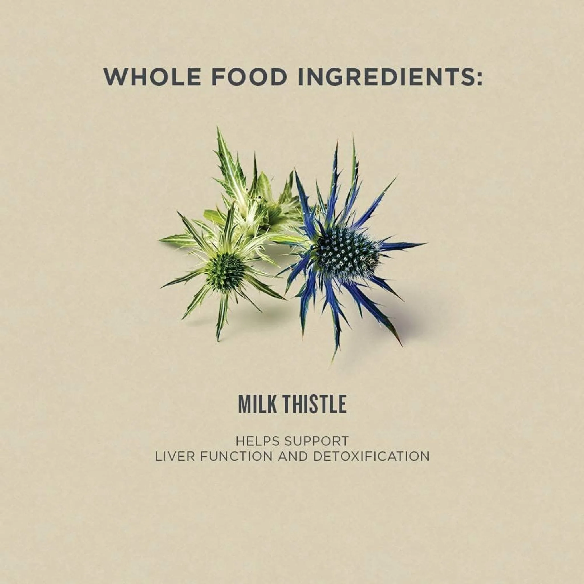 Botanica Milk Thistle Liquid Herb - Image 4