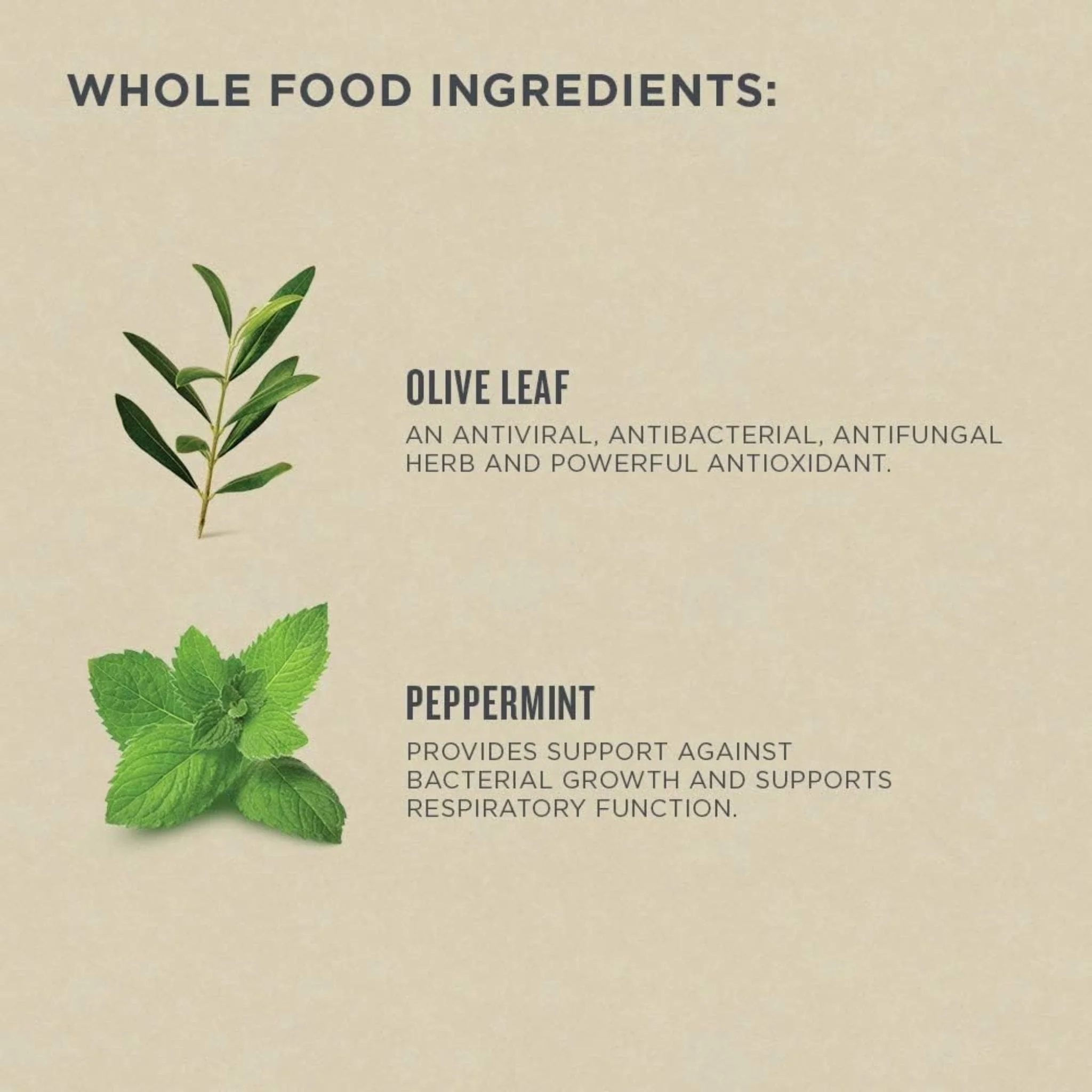 Botanica Olive Leaf Throat Spray, 30ml - Image 4