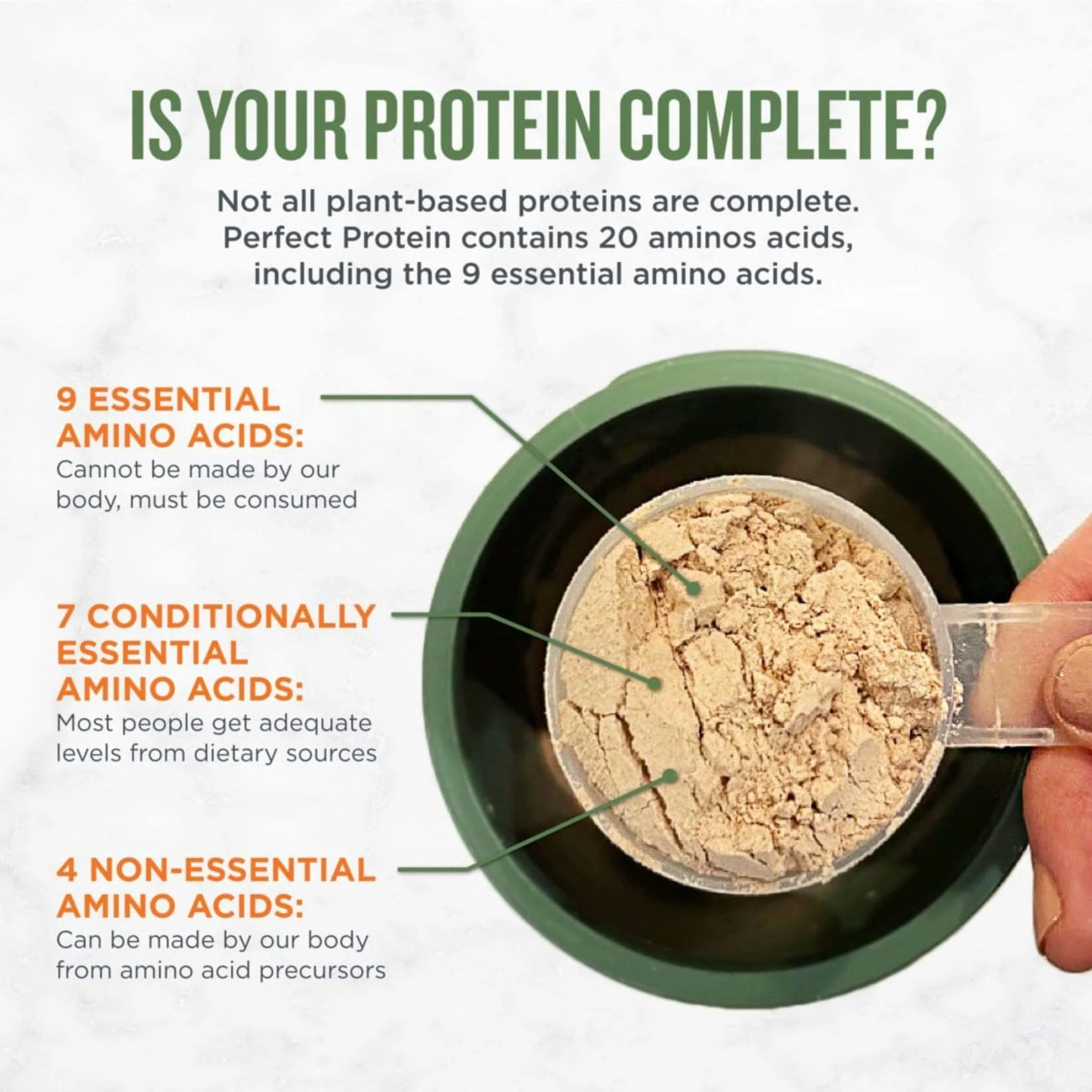 Botanica Perfect Protein Elevated Anti-Inflammatory Powder, Organic Sprouted Fermented Plant Protein, 629g - Image 2