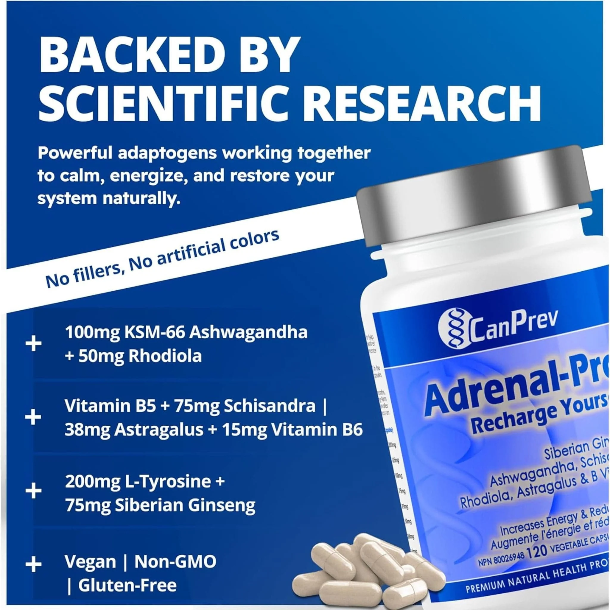 CanPrev Adrenal Pro, Adrenal Gland Support, Increase Energy, Stress Management, 120 Vegetable Capsules - Image 3