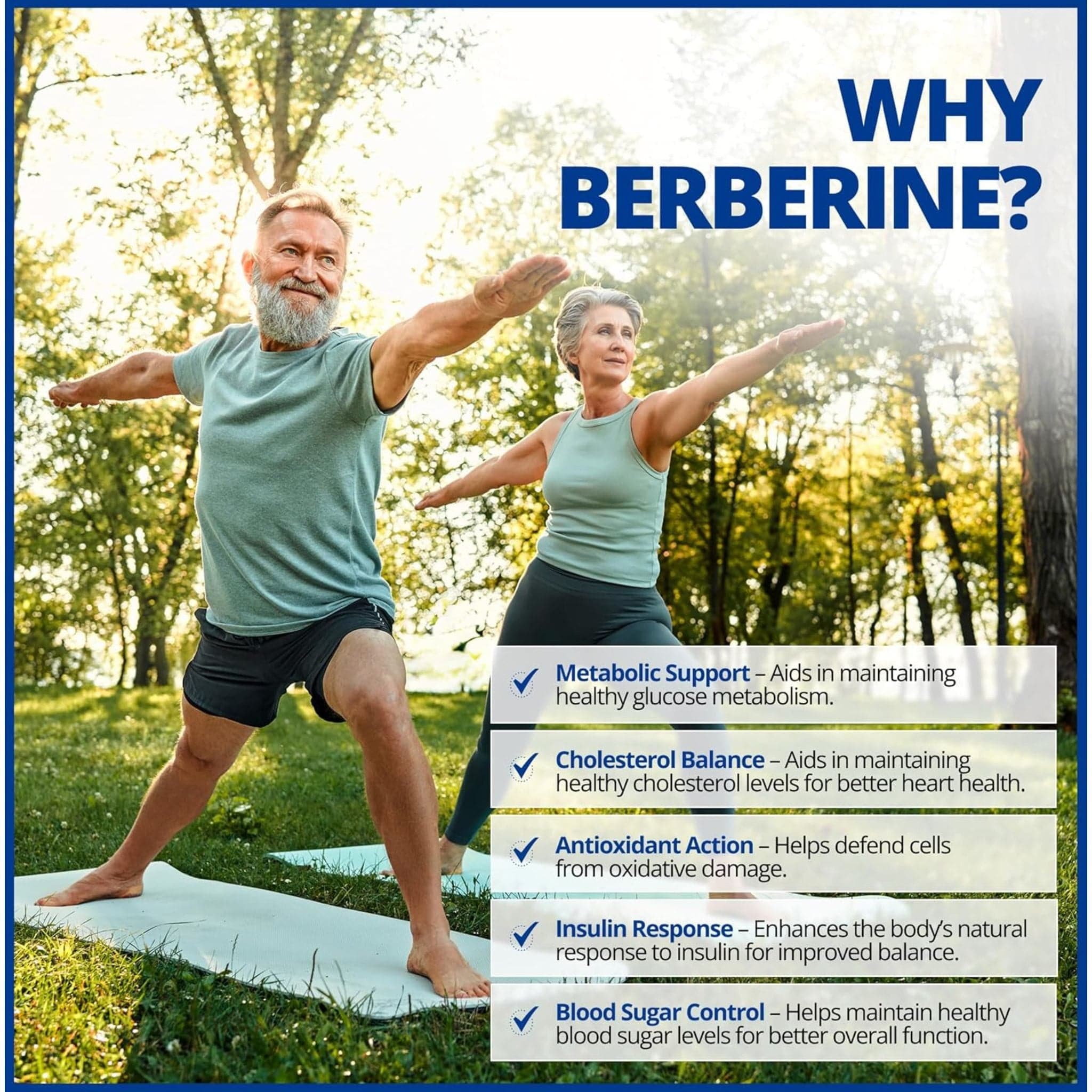 Canprev Berberine 500mg, 60 Vegetable Capsules - Image 6