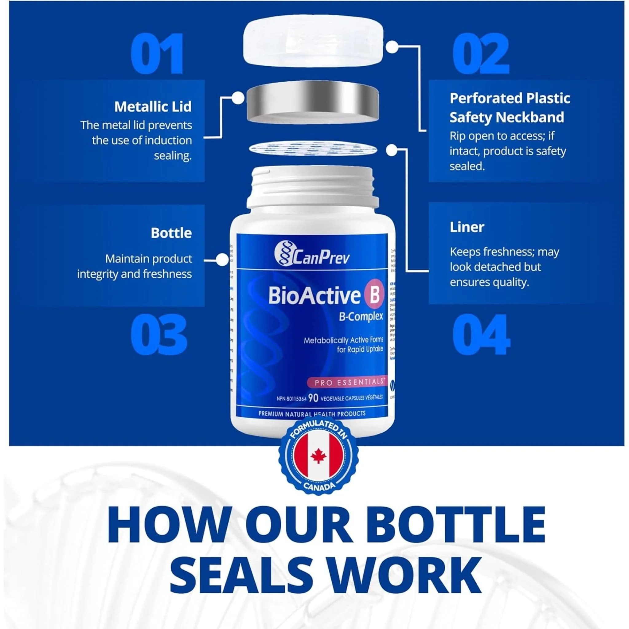 CanPrev BioActive B Complex Capsules - Image 8