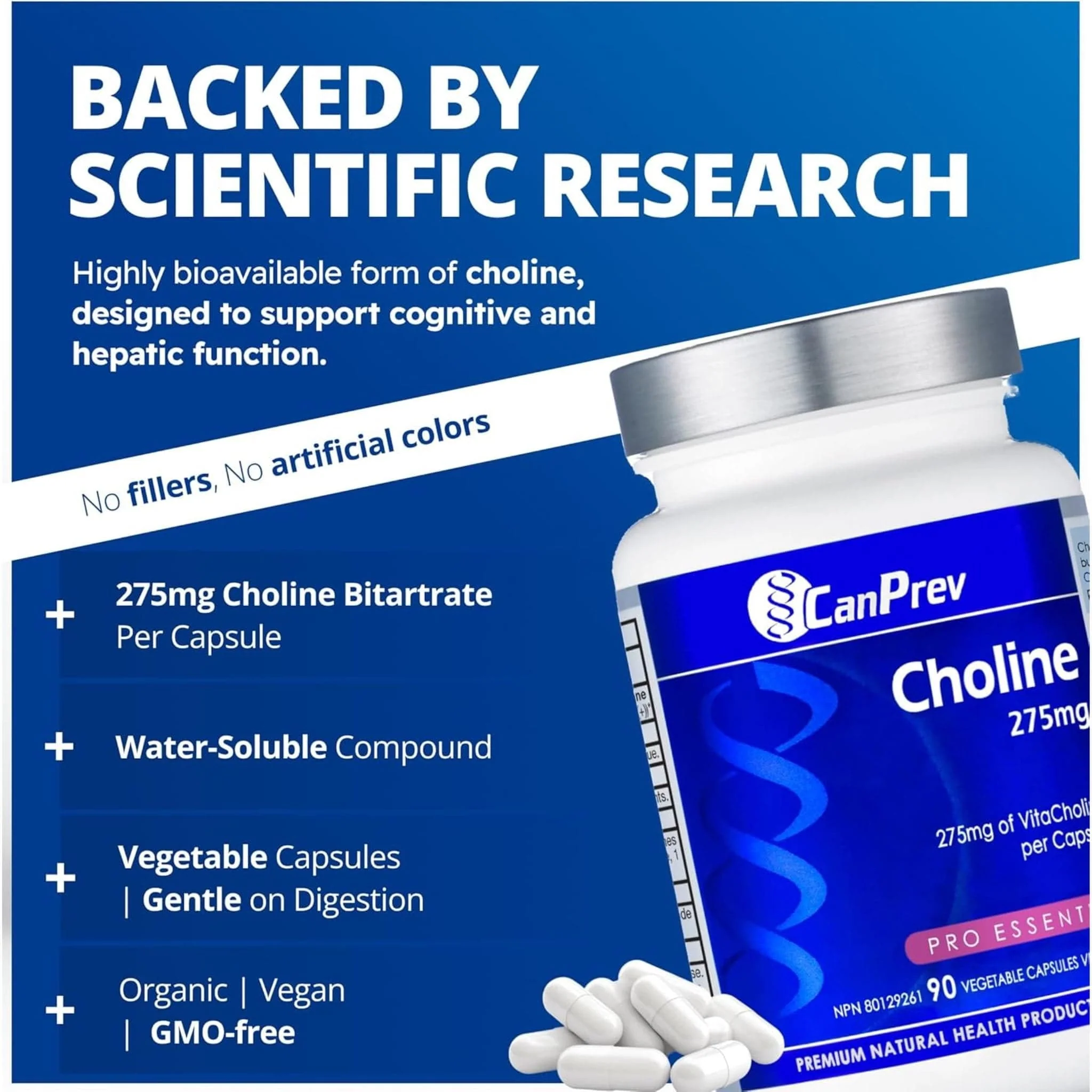 CanPrev Choline 275mg, Helps to Support Liver Function, Brain and Cardiovascular Health, 90 Vegetable Capsules - Image 4