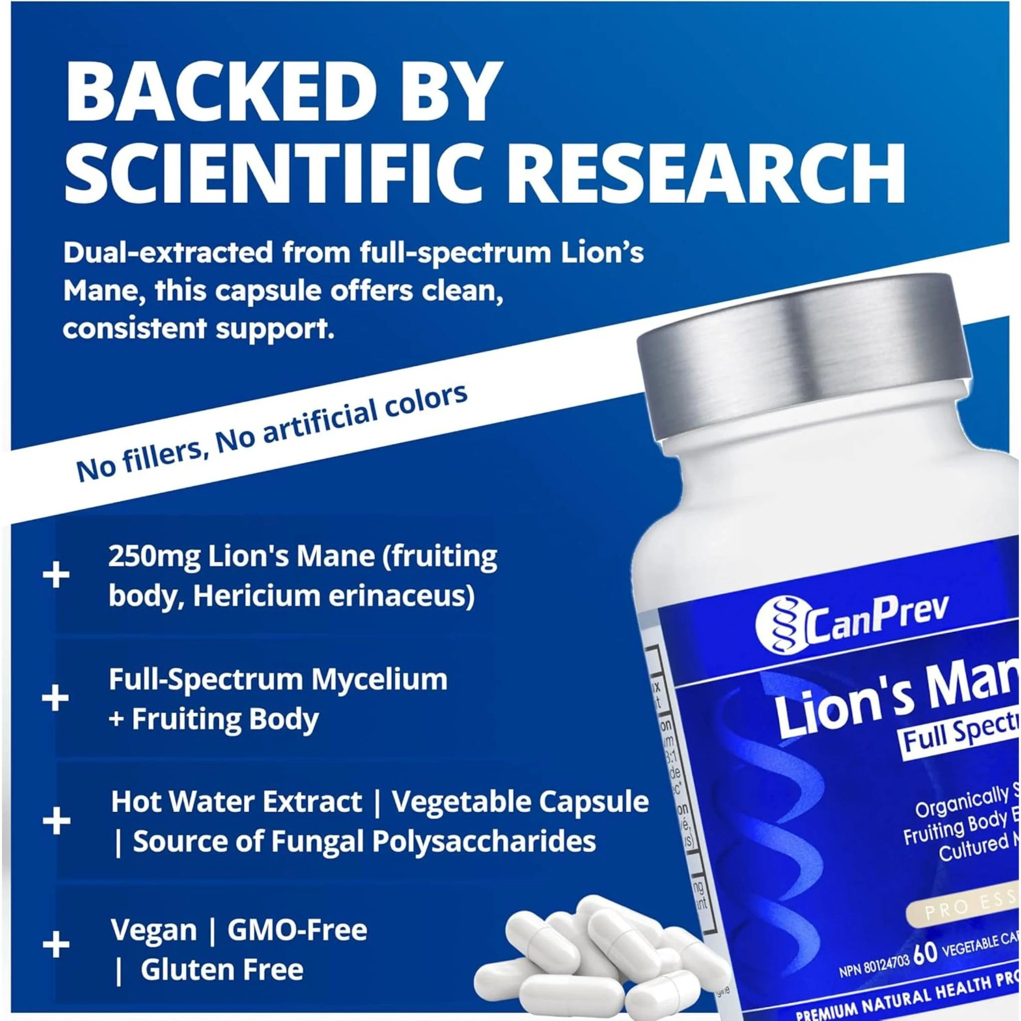 CanPrev Lion's Mane Full Spectrum, Organic Fruiting Body and Mycelium, Supports Brain and Cognitive Health, 60 Vegetable Capsules - Image 6