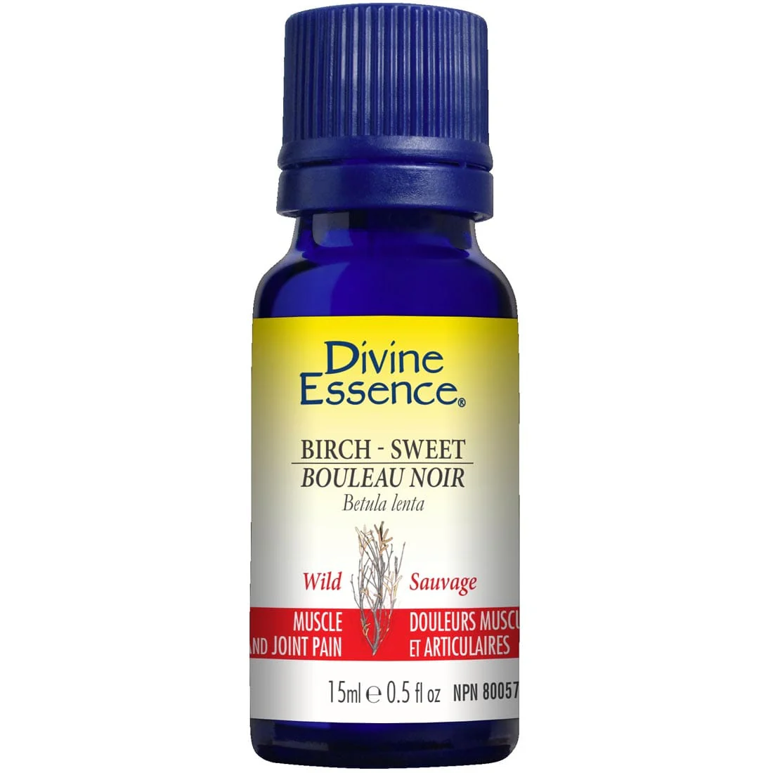 Divine Essence Birch- Sweet Essential Oil (Wild), 15ml