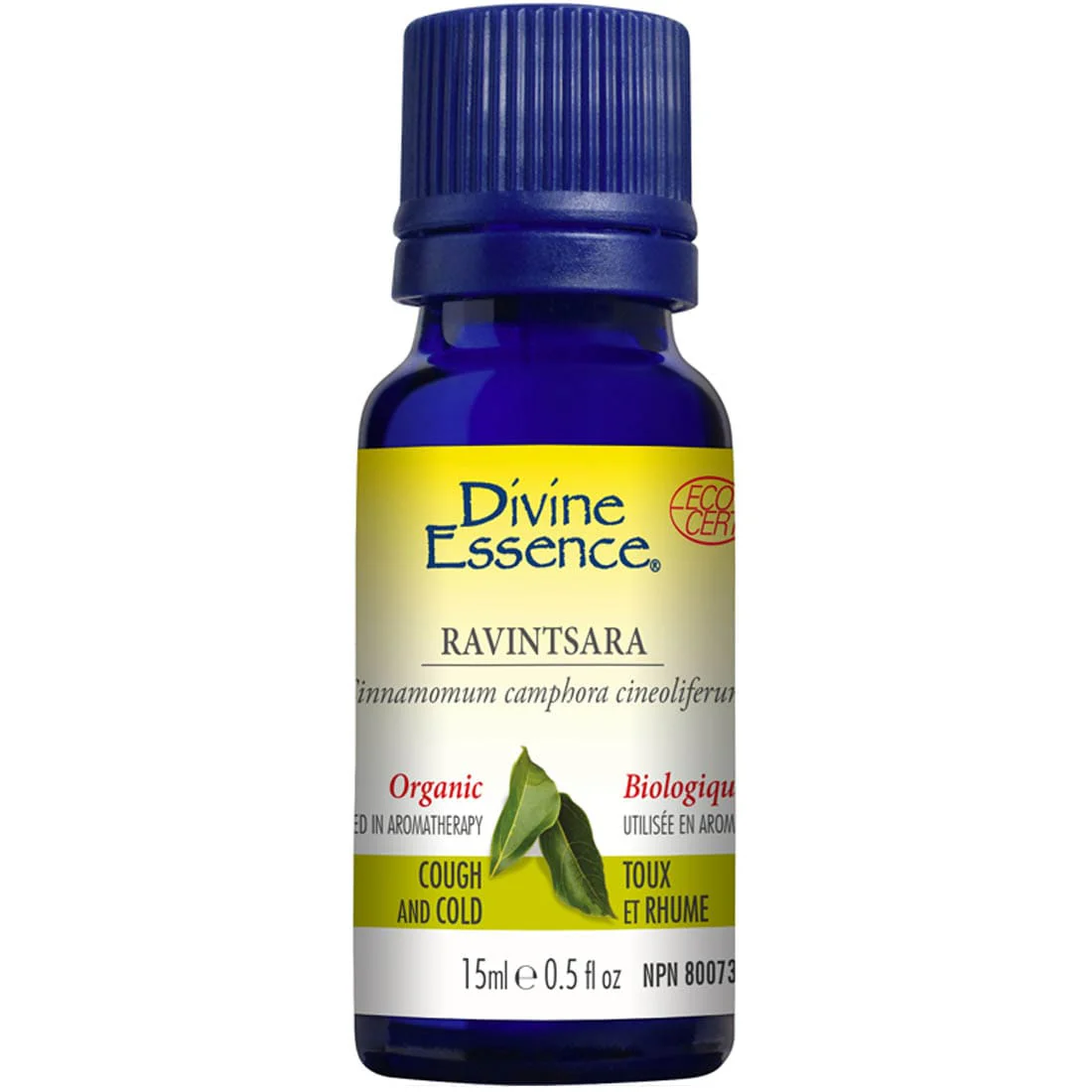 Divine Essence Ravintsara Essential Oil (Organic), 15ml