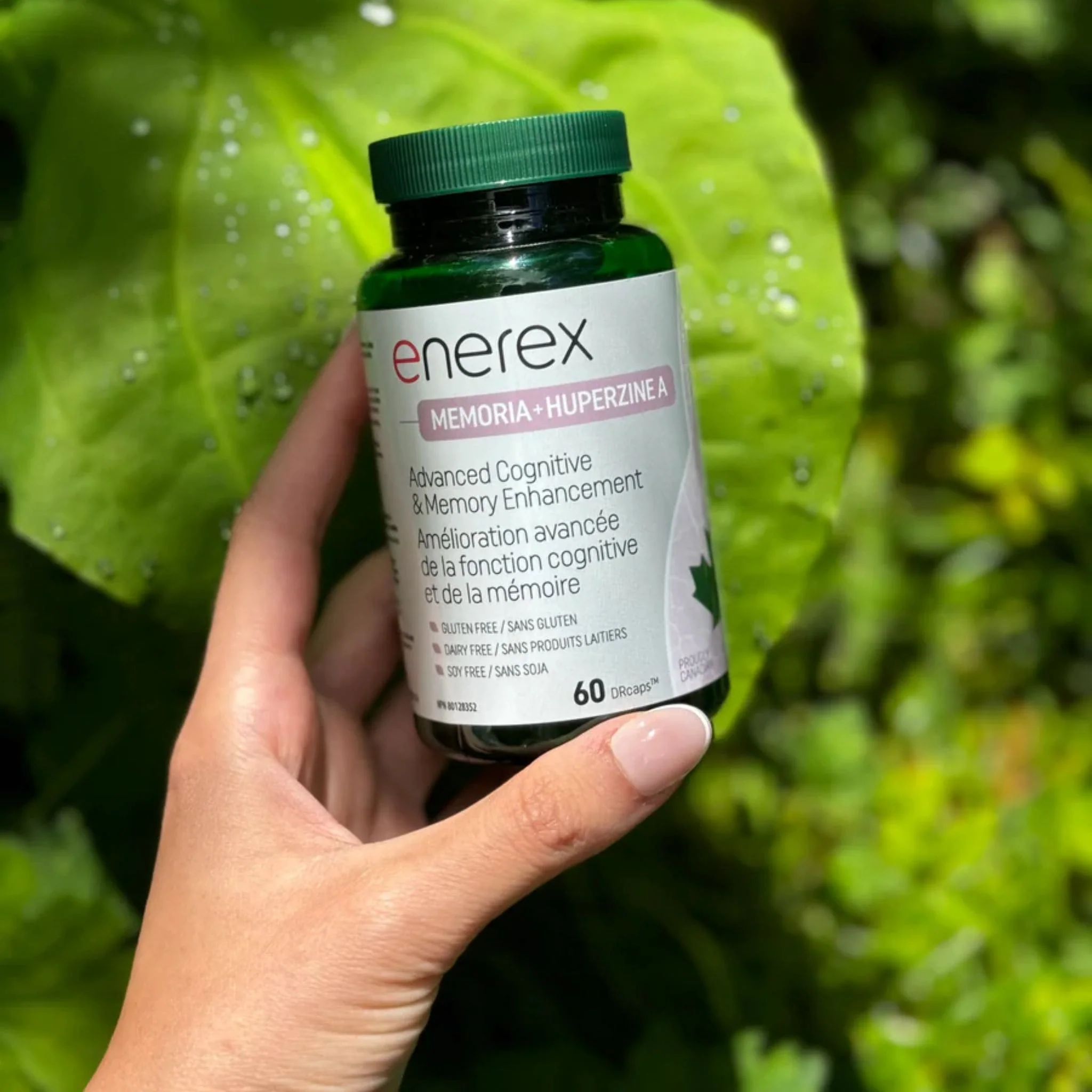 Enerex Memoria and Huperzine A, Advanced Cognitive and Memory Enhancement, 60 Delayed Release Capsules - Image 2