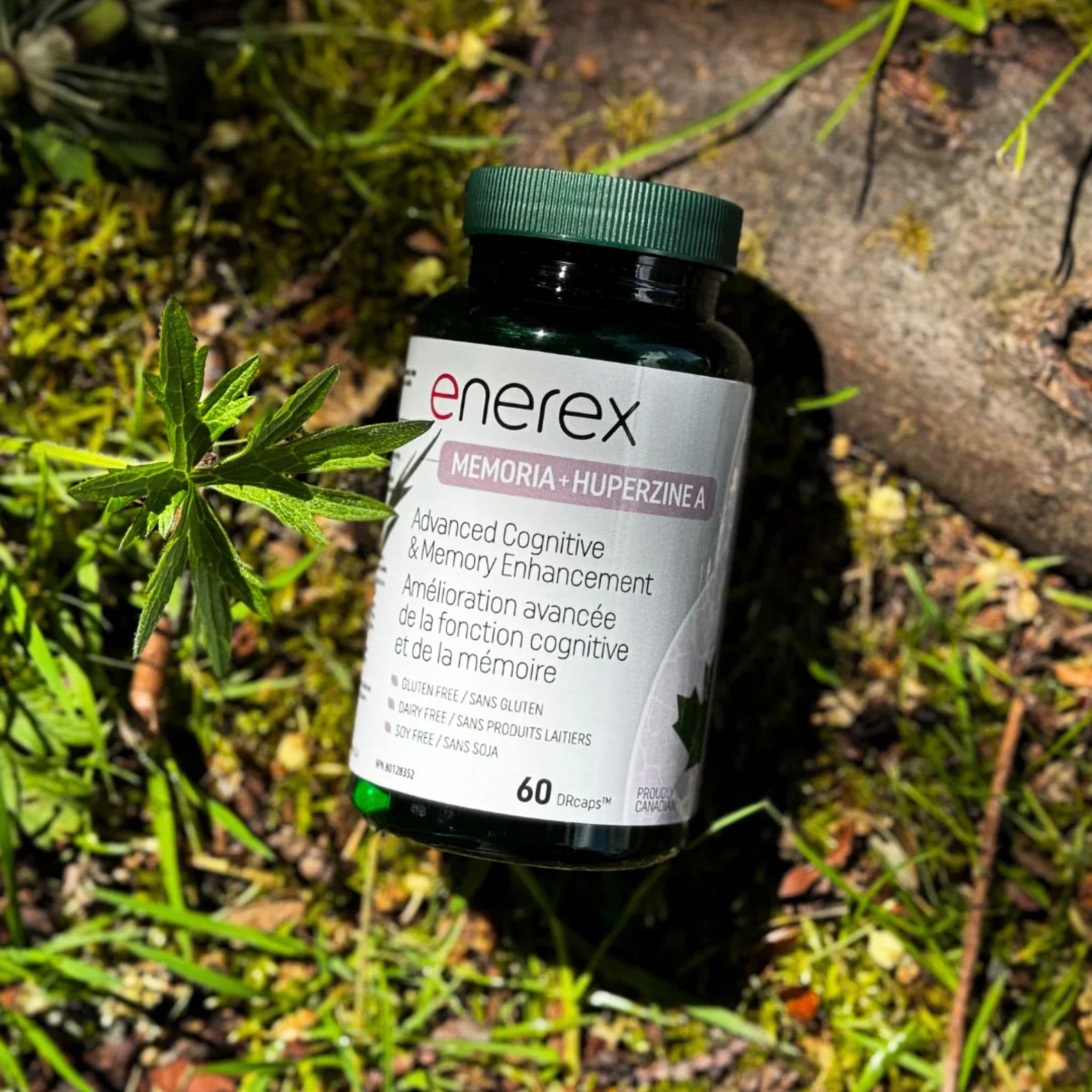 Enerex Memoria and Huperzine A, Advanced Cognitive and Memory Enhancement, 60 Delayed Release Capsules - Image 3