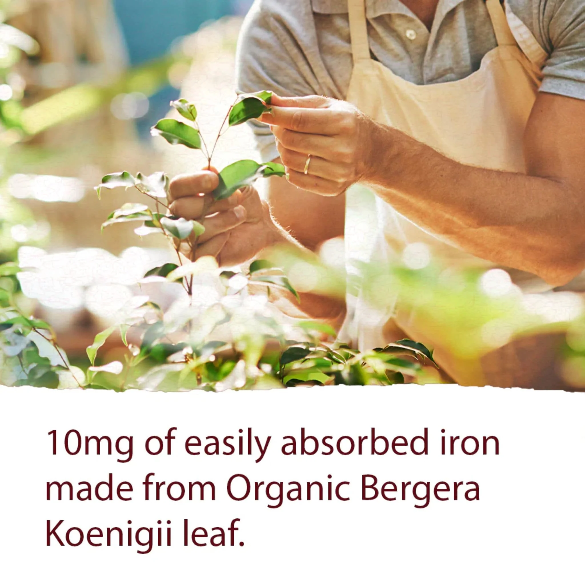Garden of Life Organics Plant Iron and Organic Herbs, 240-450ml - Image 8