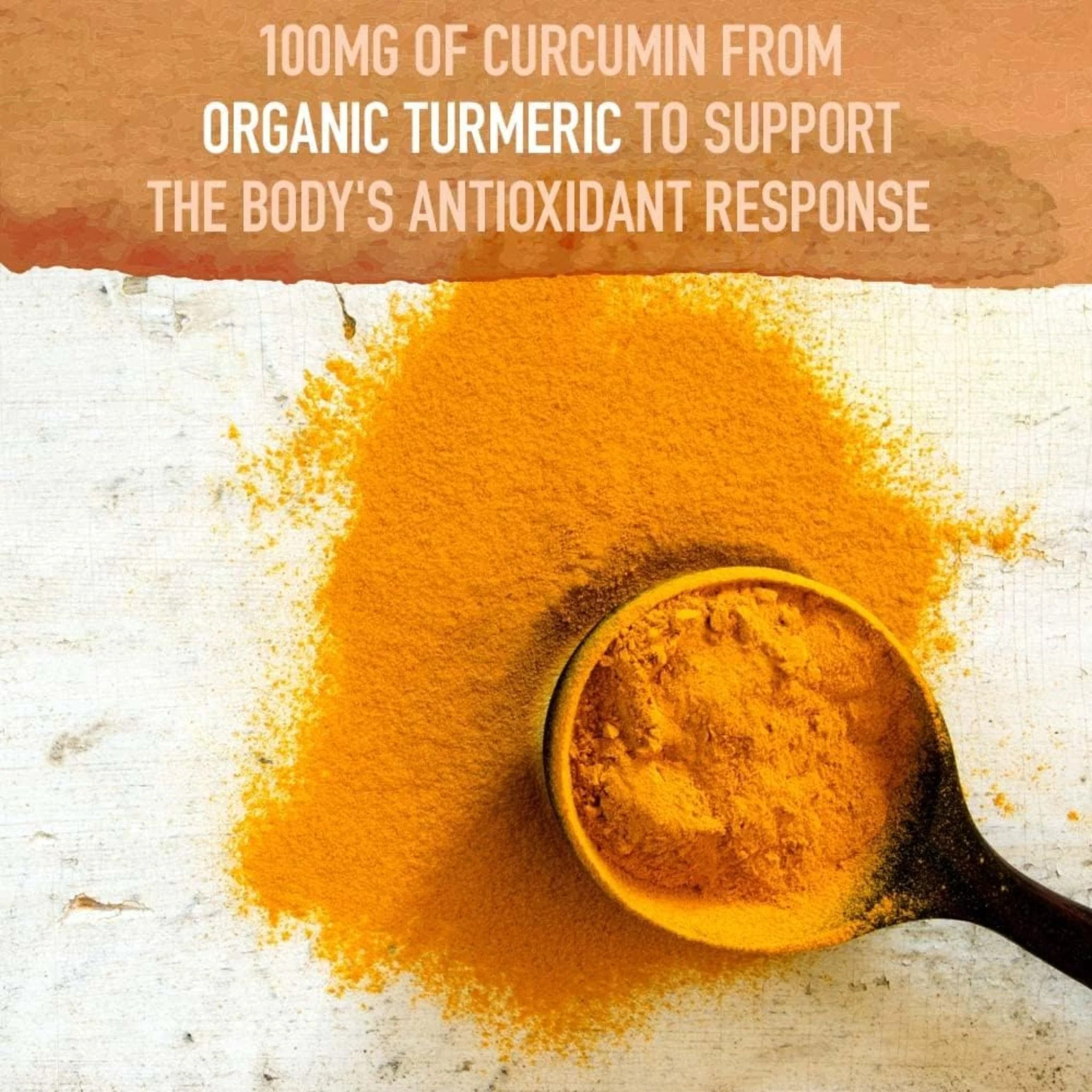 Garden of Life Organics Turmeric Boost Powder, 135g - Image 5