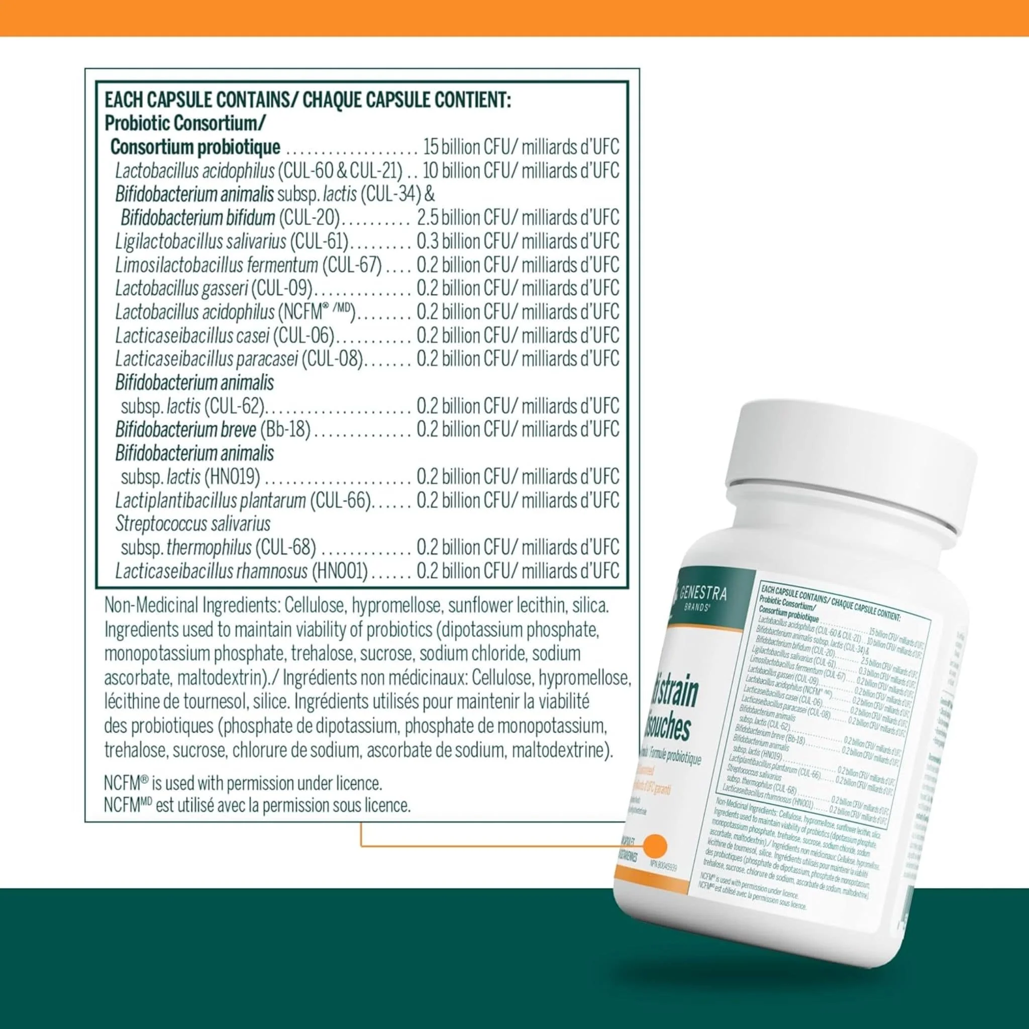 Genestra HMF Multi Strain, 60 Capsules - Store in Fridge - Image 2