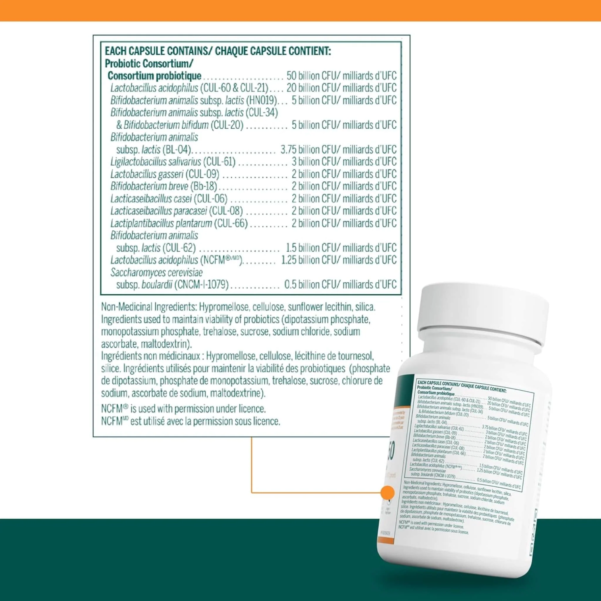 Genestra HMF Multi Strain 50, 30 Capsules - Store in Fridge - Image 2
