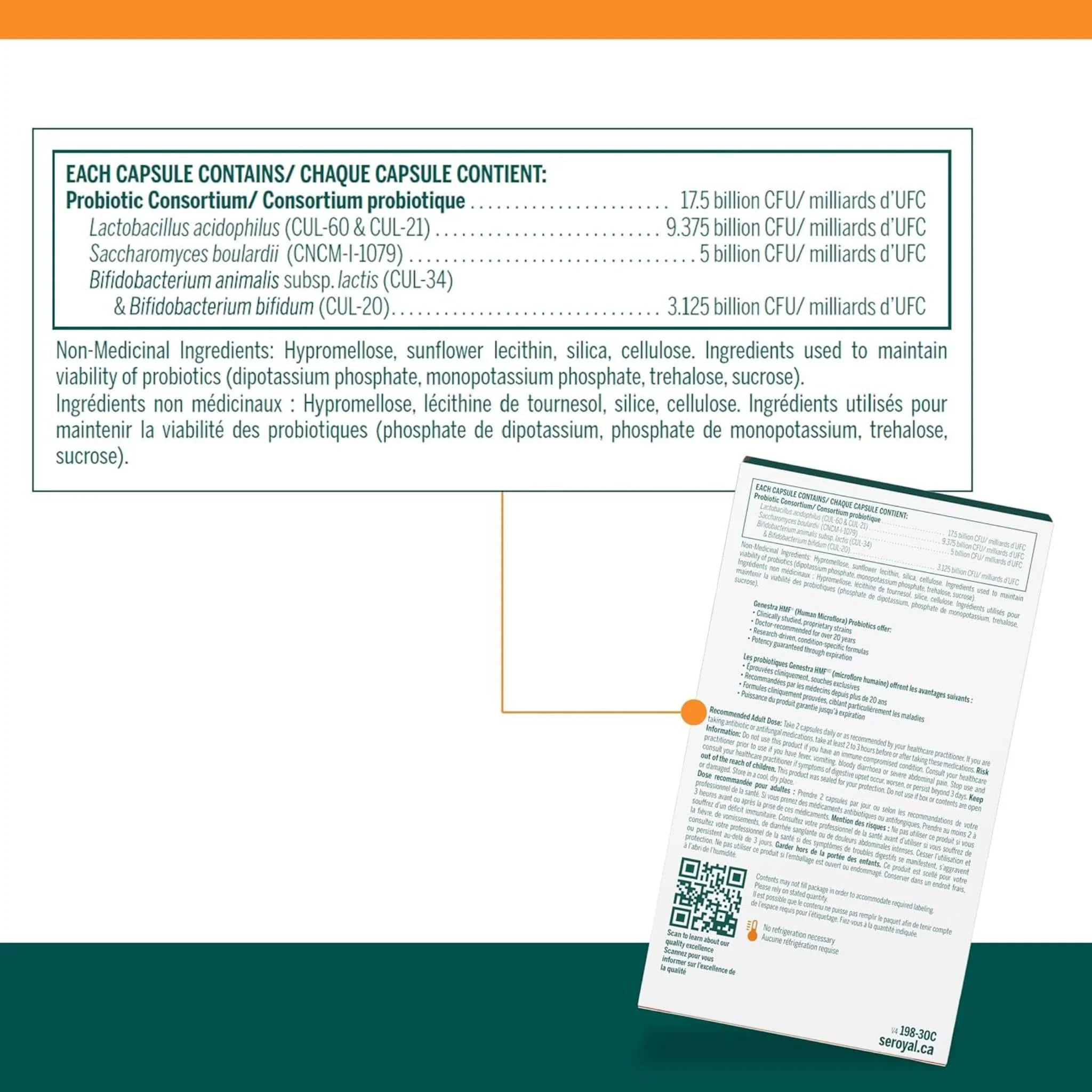 Genestra HMF Travel Probiotic 35 Billion CFU, Includes Saccharomyces Boulardi, Shelf-Stable, 30 Vegetable Capsules - Image 2