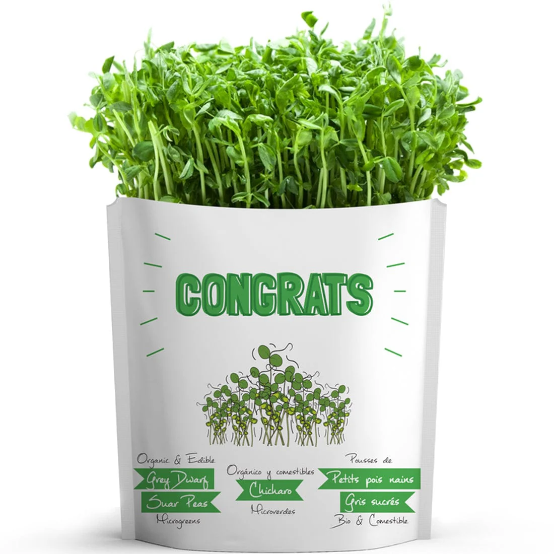 Gift A Green Greeting Cards, Congrats Card, Dwarf Sugar Peas Microgreens