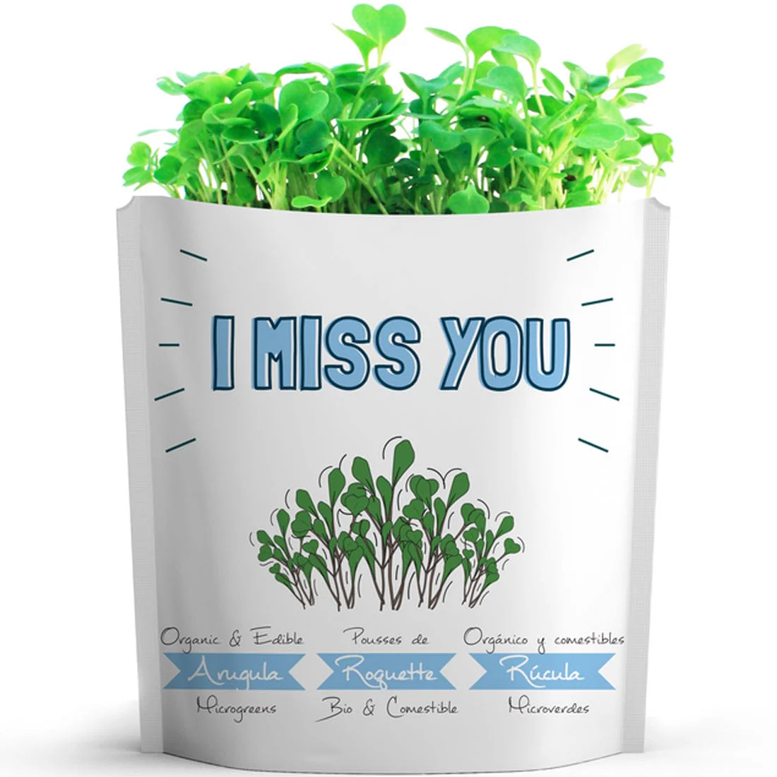 Gift A Green Greeting Cards, I Miss You Card, Arugula Microgreens