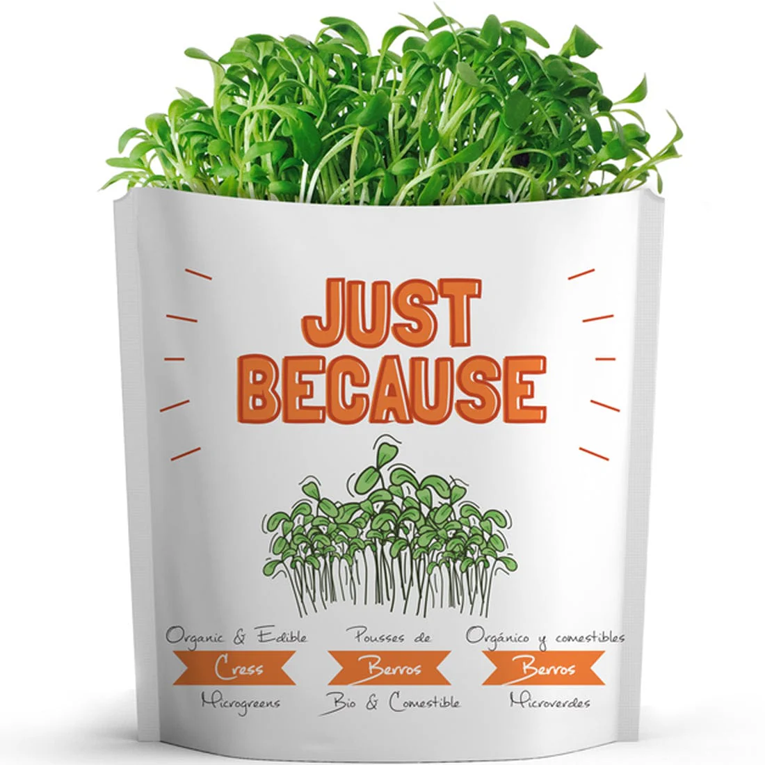 Gift A Green Greeting Cards, Just Because Card, Cress Microgreens
