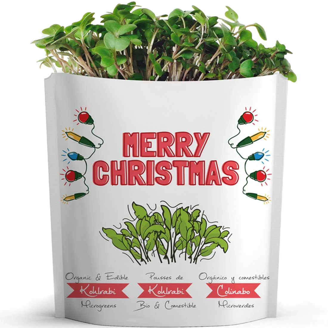 Gift A Green Greeting Cards, Merry Christmas Card, Kohlrabi Microgreens