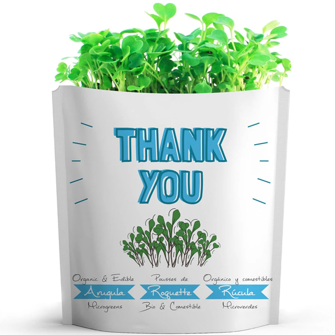 Gift A Green Greeting Cards, Thank You Card, Arugula Microgreens