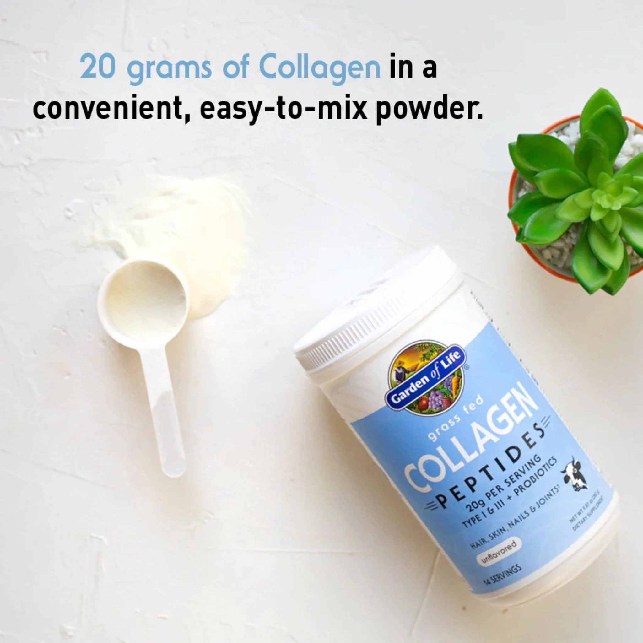 Garden of Life Grass Fed Collagen Peptides, 560g - Image 5