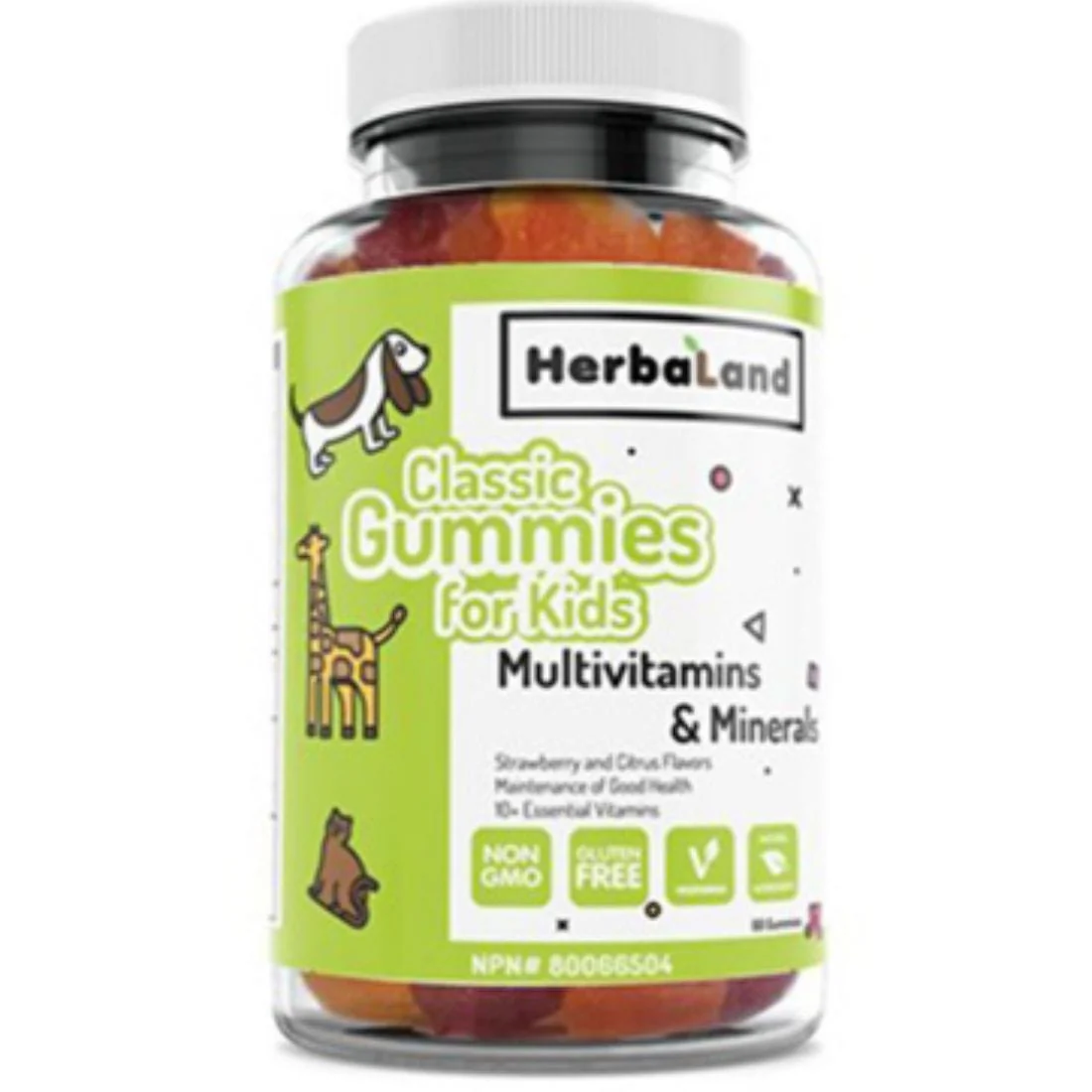 Herbaland Multivitamin Gummies for Kids, Non-GMO, Gluten-Free, 60 Gummies