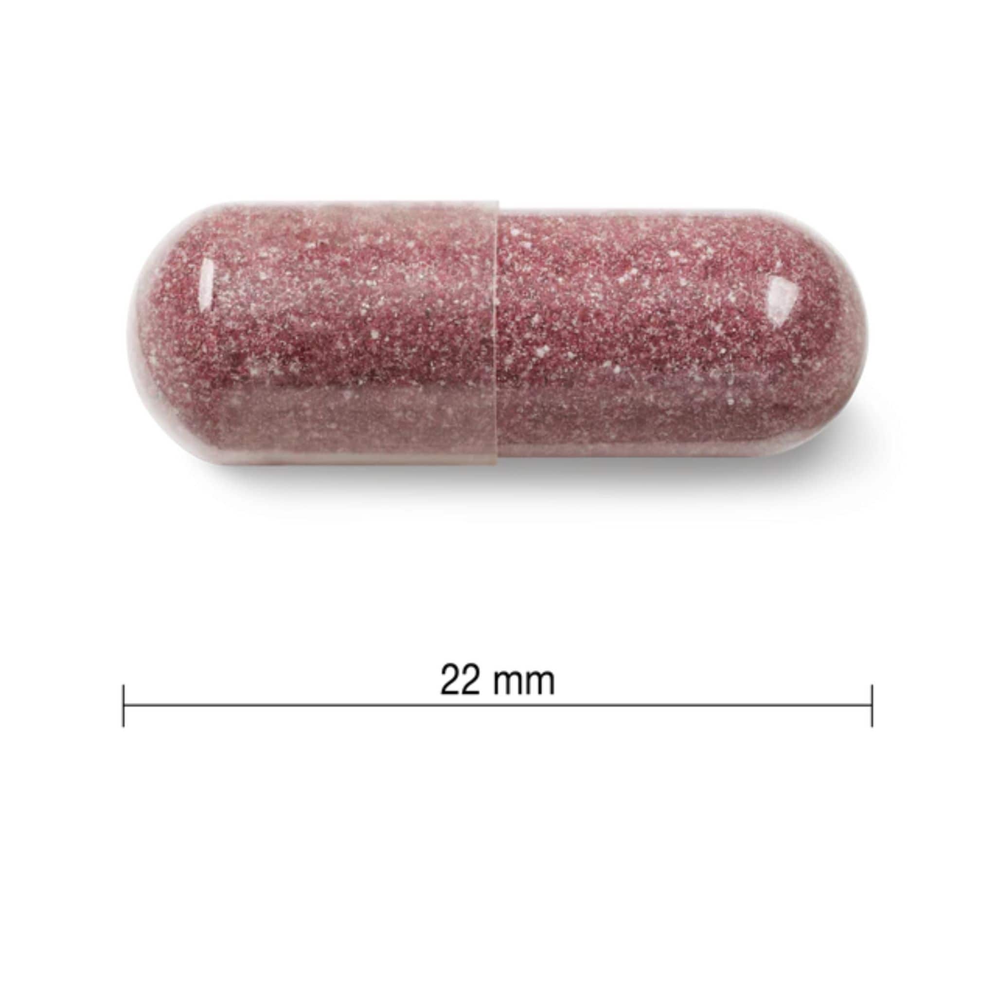 Jamieson Cranberry Maximum Concentrate, 500mg, 60 Capsules - Image 7