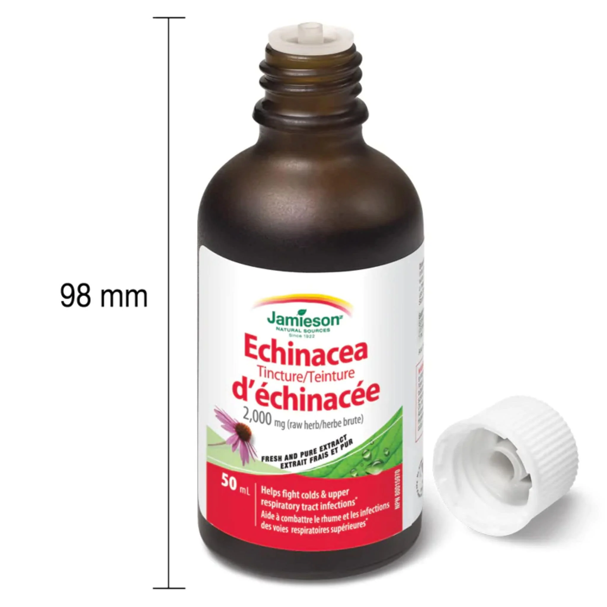 Jamieson Echinacea Tincture, 50ml - Image 3
