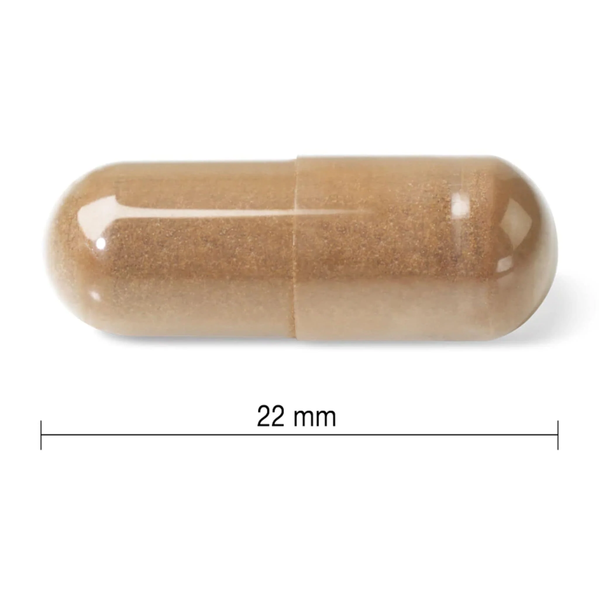 Jamieson Mushroom Complex, Reishi, Lions Mane, Chaga, Shiitake, 60 Capsules - Image 3