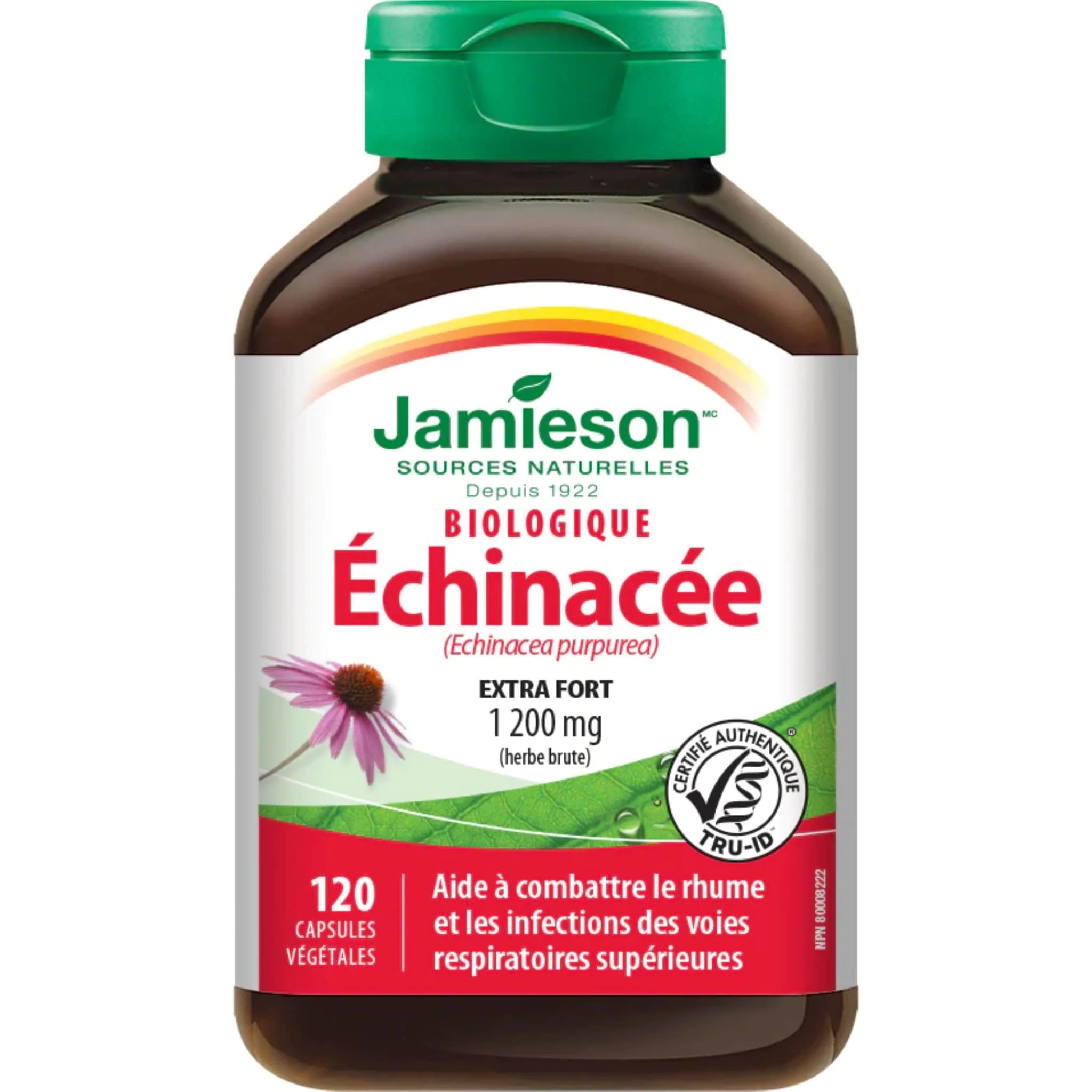 Jamieson Organic Echinacea 1200mg, 120 capsules - Image 2