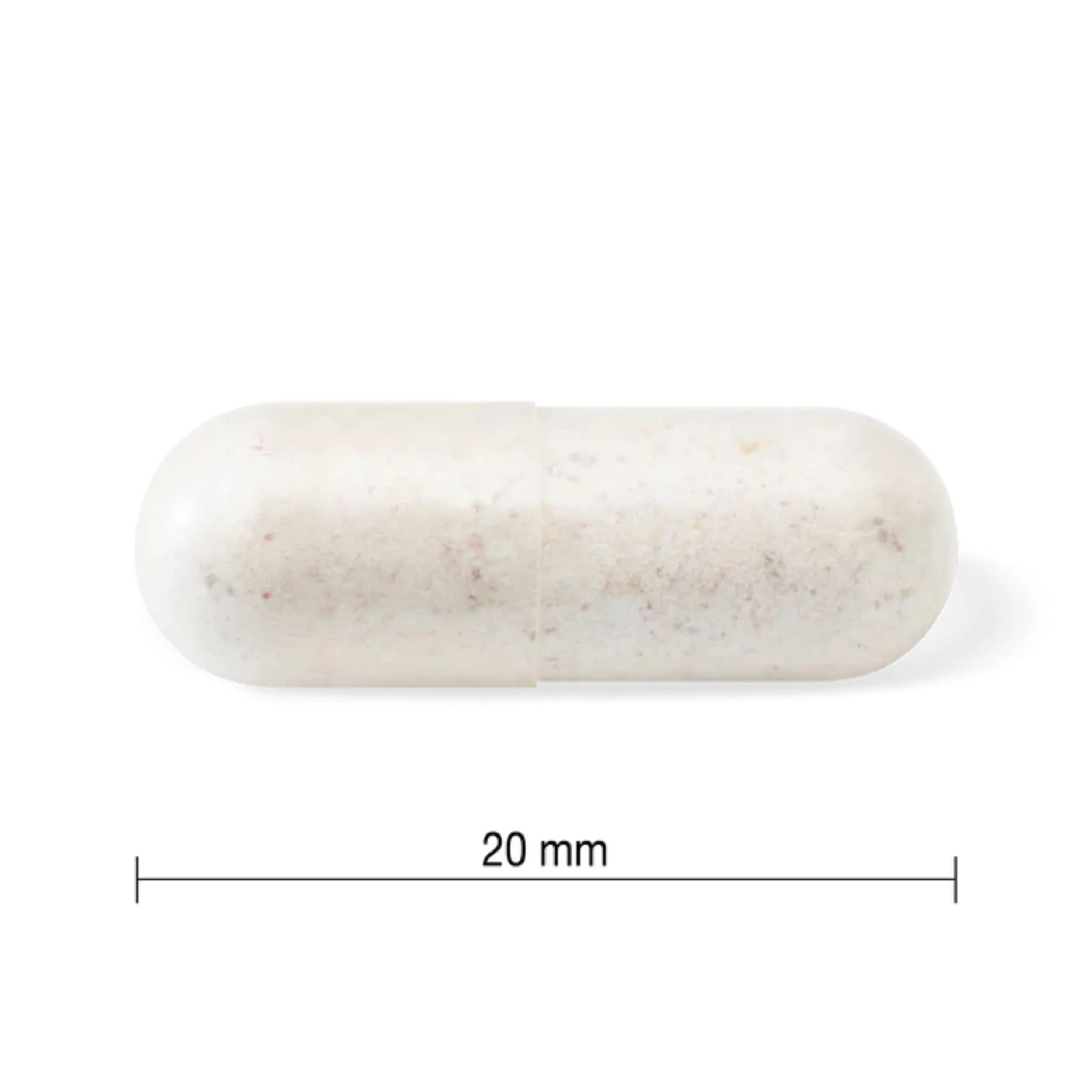 Jamieson Probiotic 10 Billion, 14 Unique Strains, 60 Vegetable Capsules - Image 6