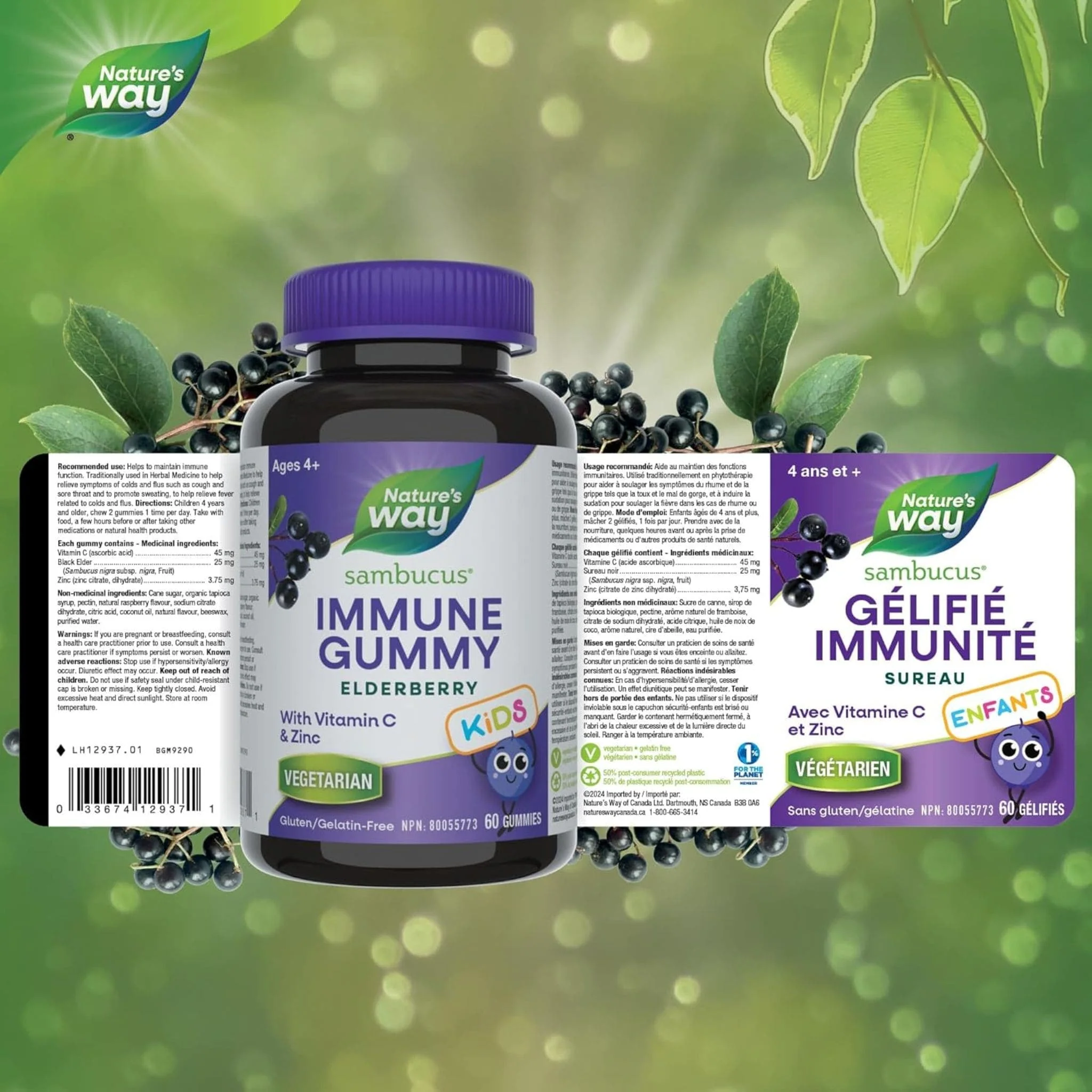 Nature's Way Sambucus Immune Elderberry Cold and Flu Care Kids, 60 Gummies - Image 2