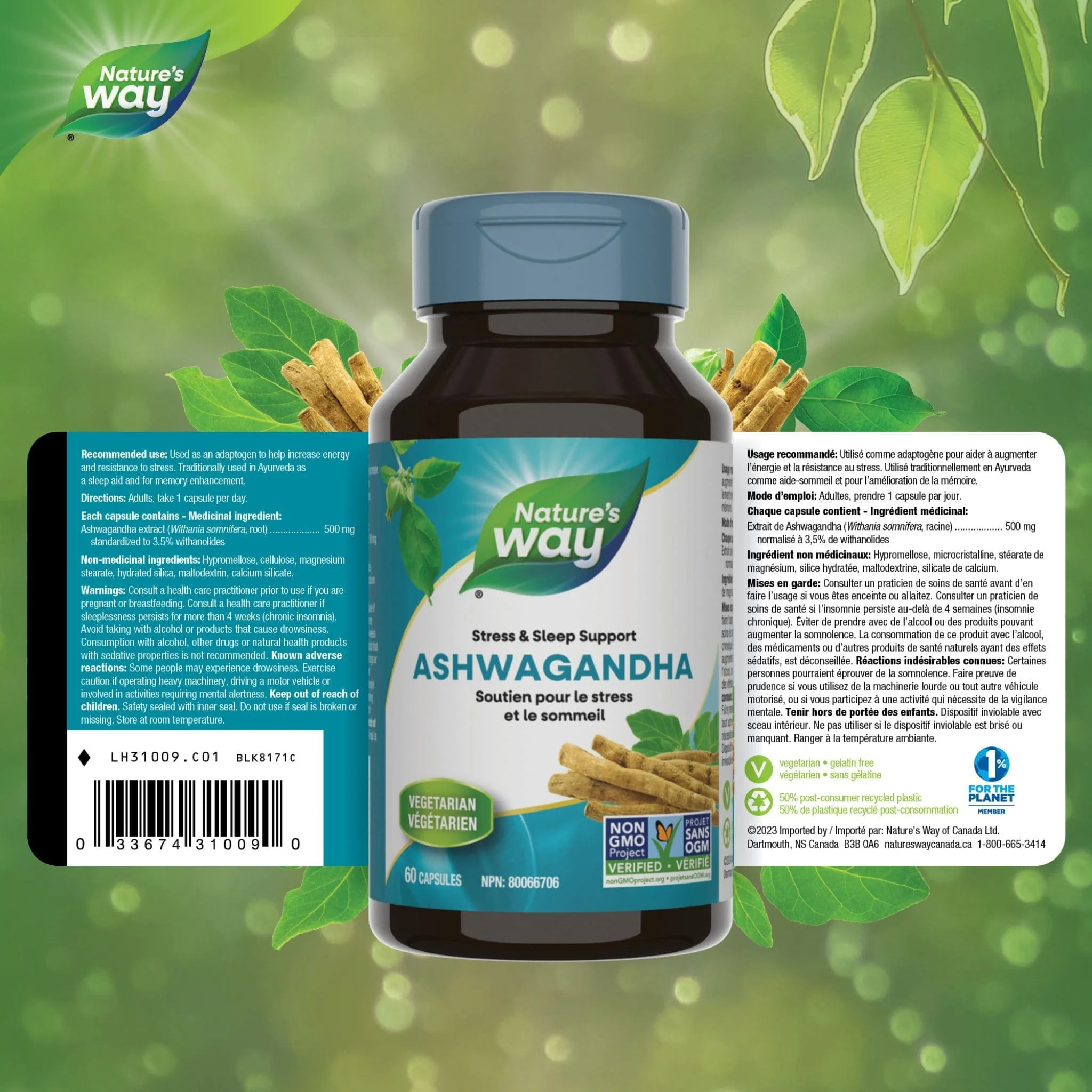 Nature's Way Ashwagandha Standardized, 60 Vcaps - Image 2