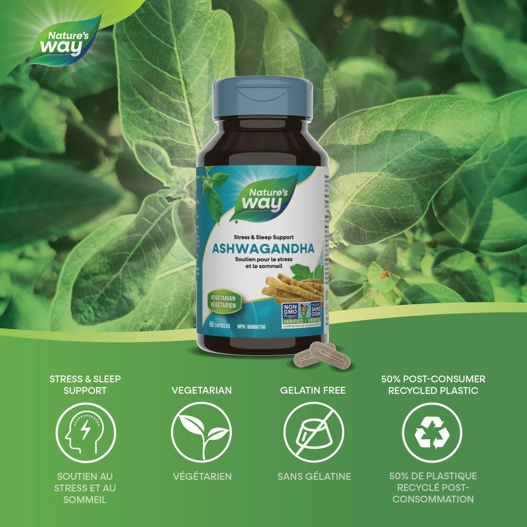 Nature's Way Ashwagandha Standardized, 60 Vcaps - Image 3