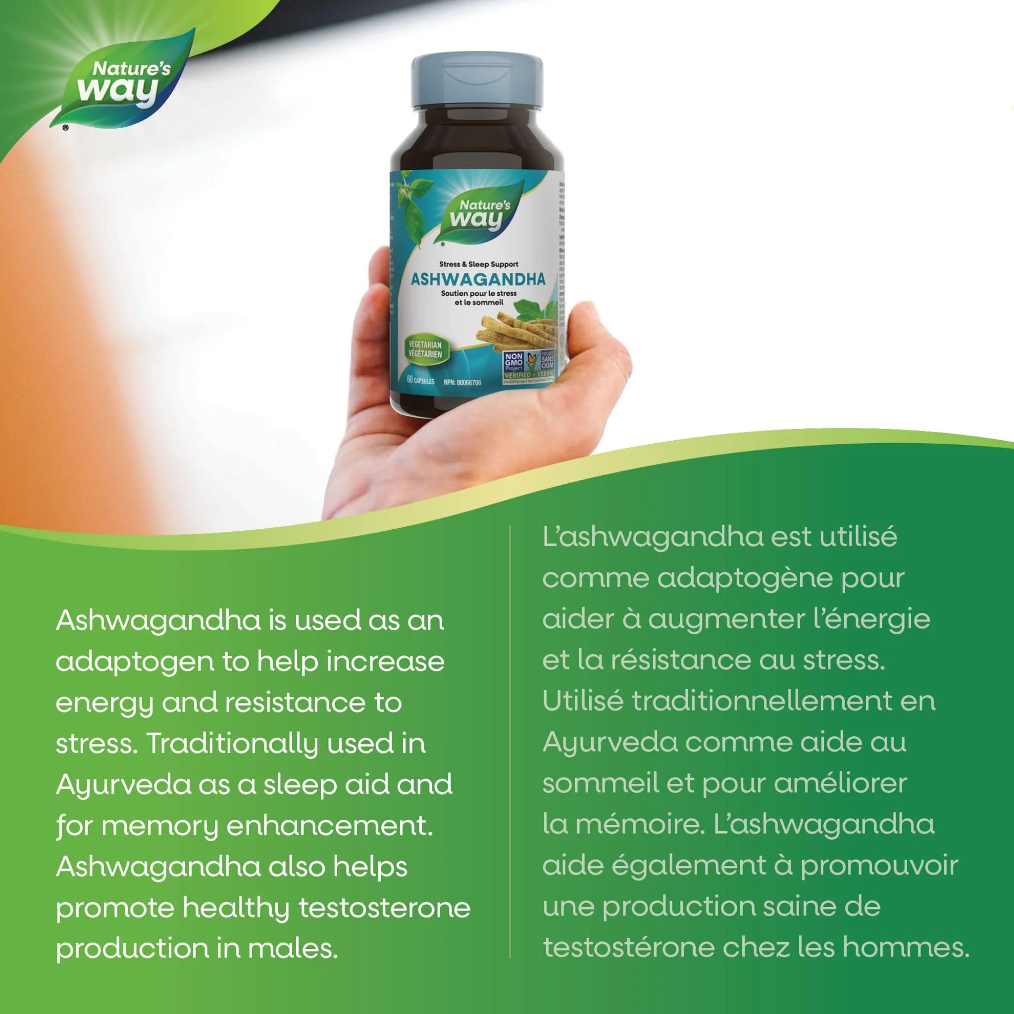 Nature's Way Ashwagandha Standardized, 60 Vcaps - Image 4