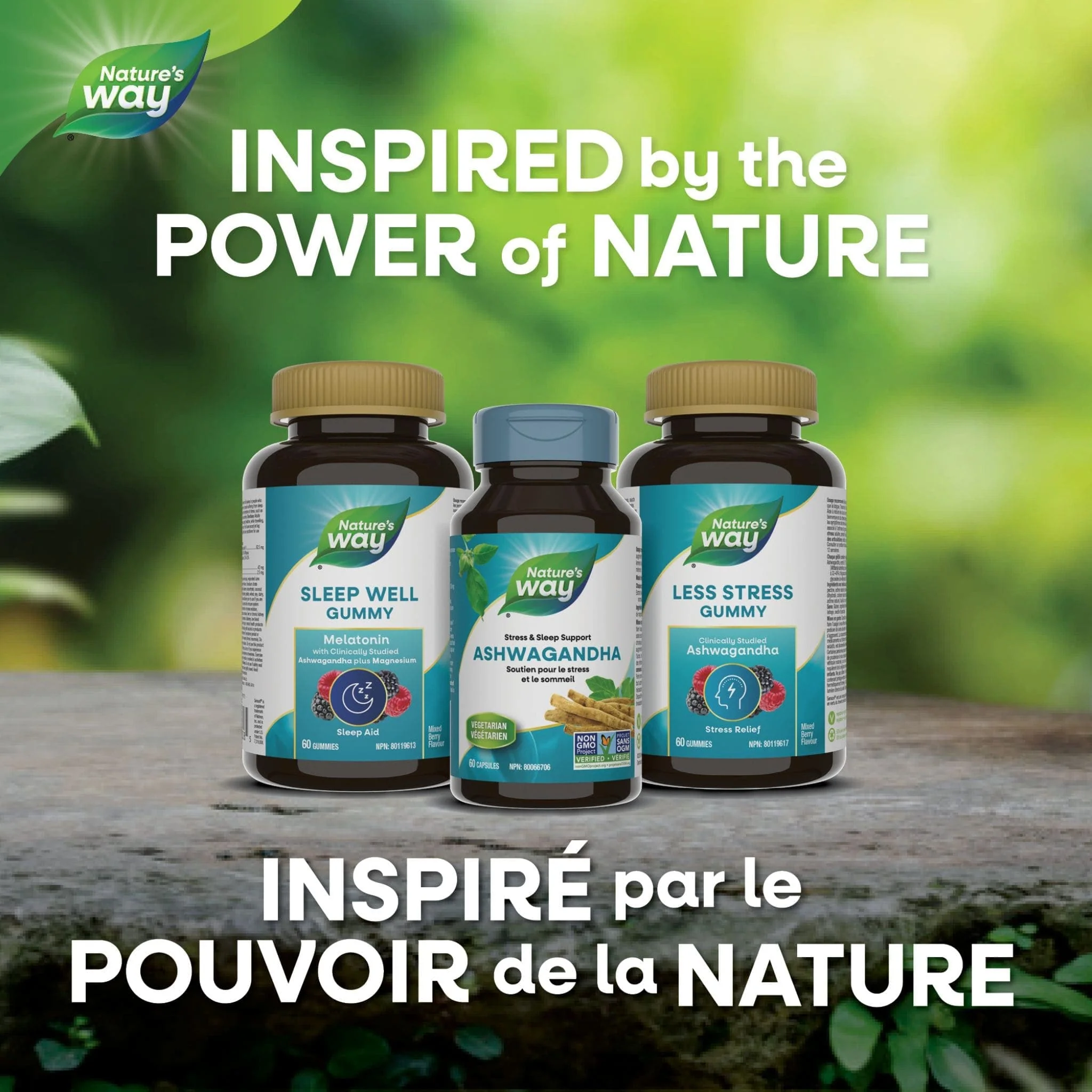 Nature's Way Ashwagandha Standardized, 60 Vcaps - Image 6