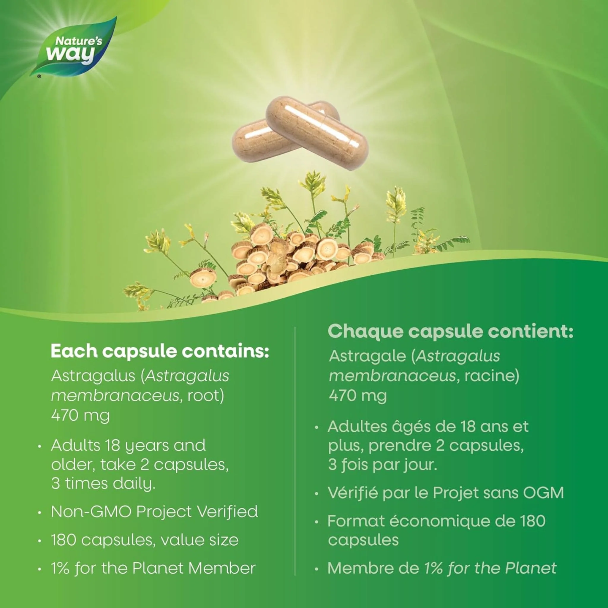 Nature's Way Astragalus Root - Image 12