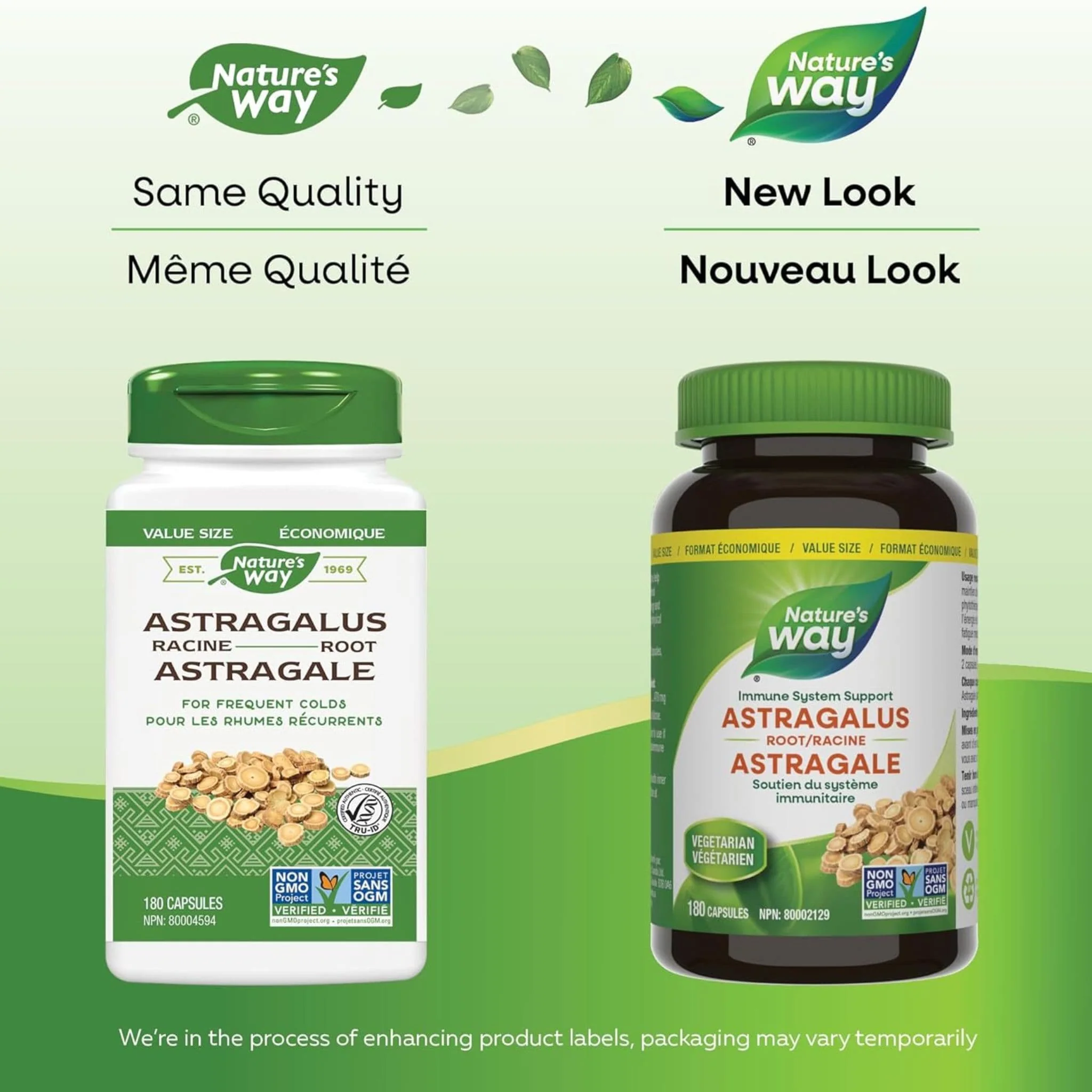 Nature's Way Astragalus Root - Image 13