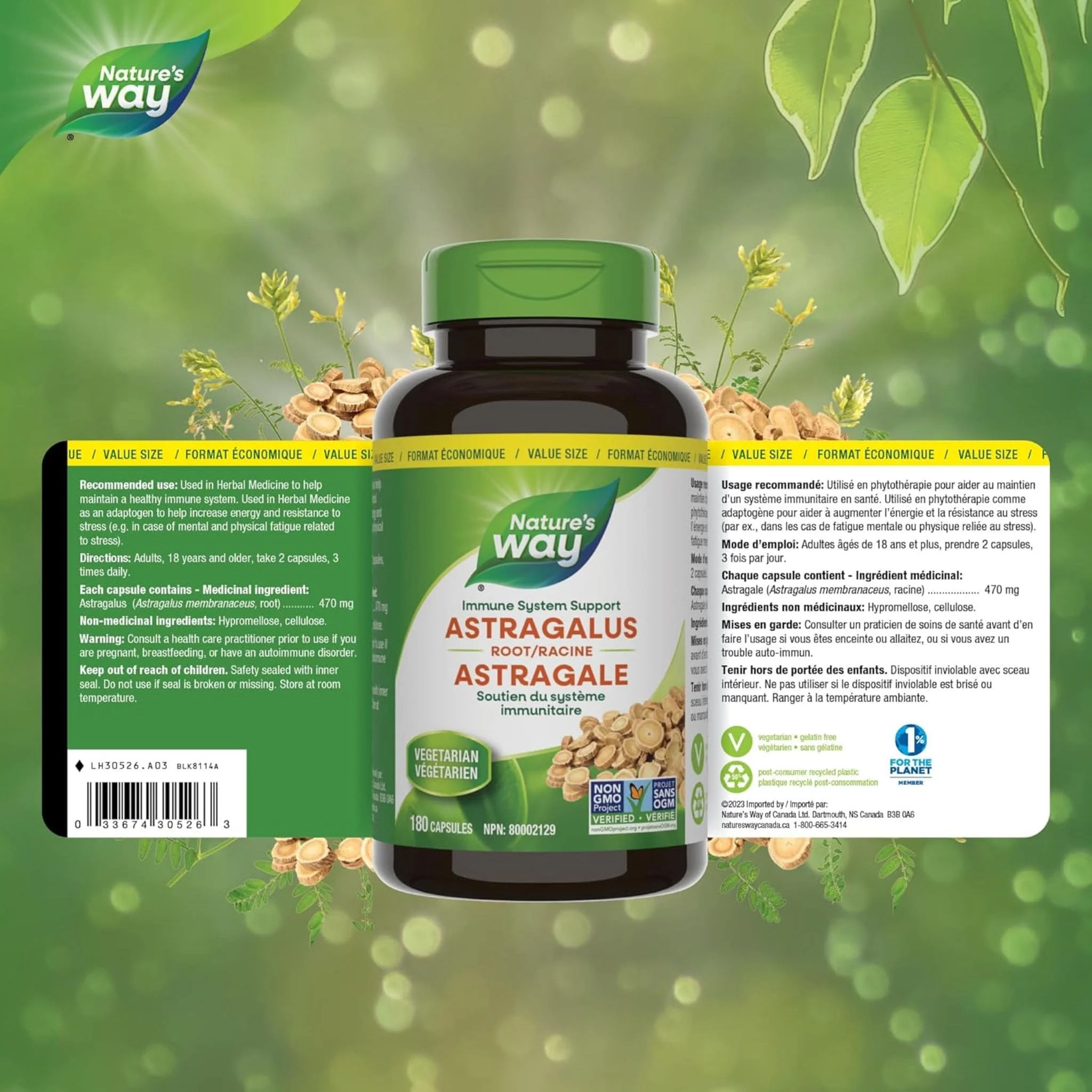 Nature's Way Astragalus Root - Image 9